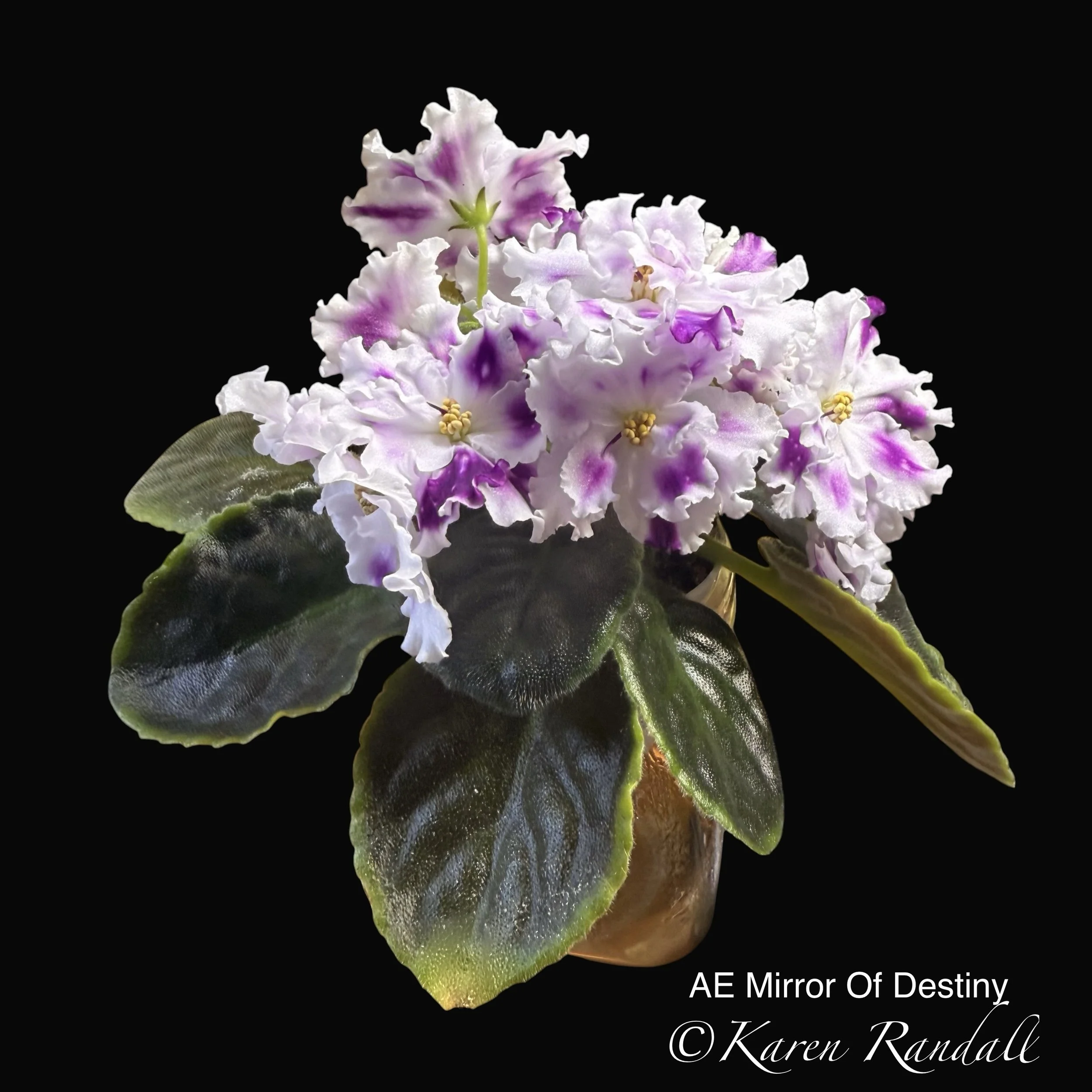 AE Mirror of Destiny 2.jpeg