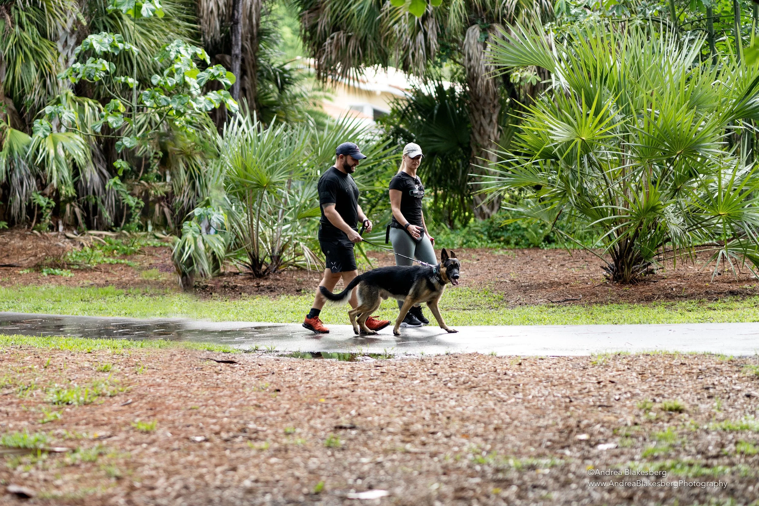 Complete Canine Training - Business Photo