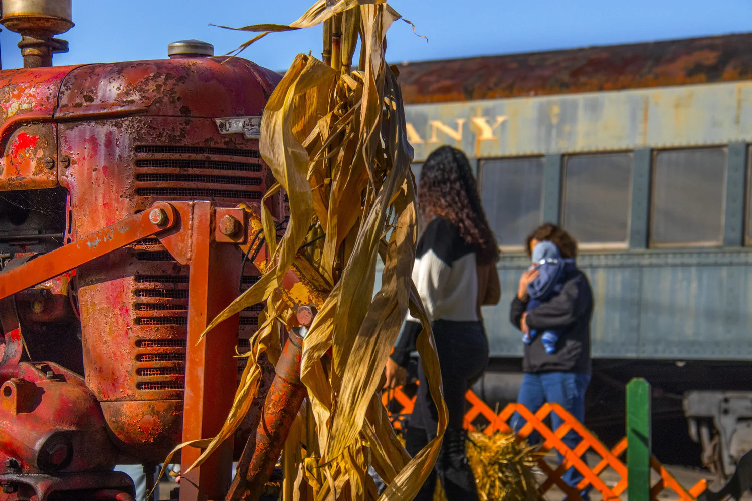 Area Attractions - Danbury Railway Museum