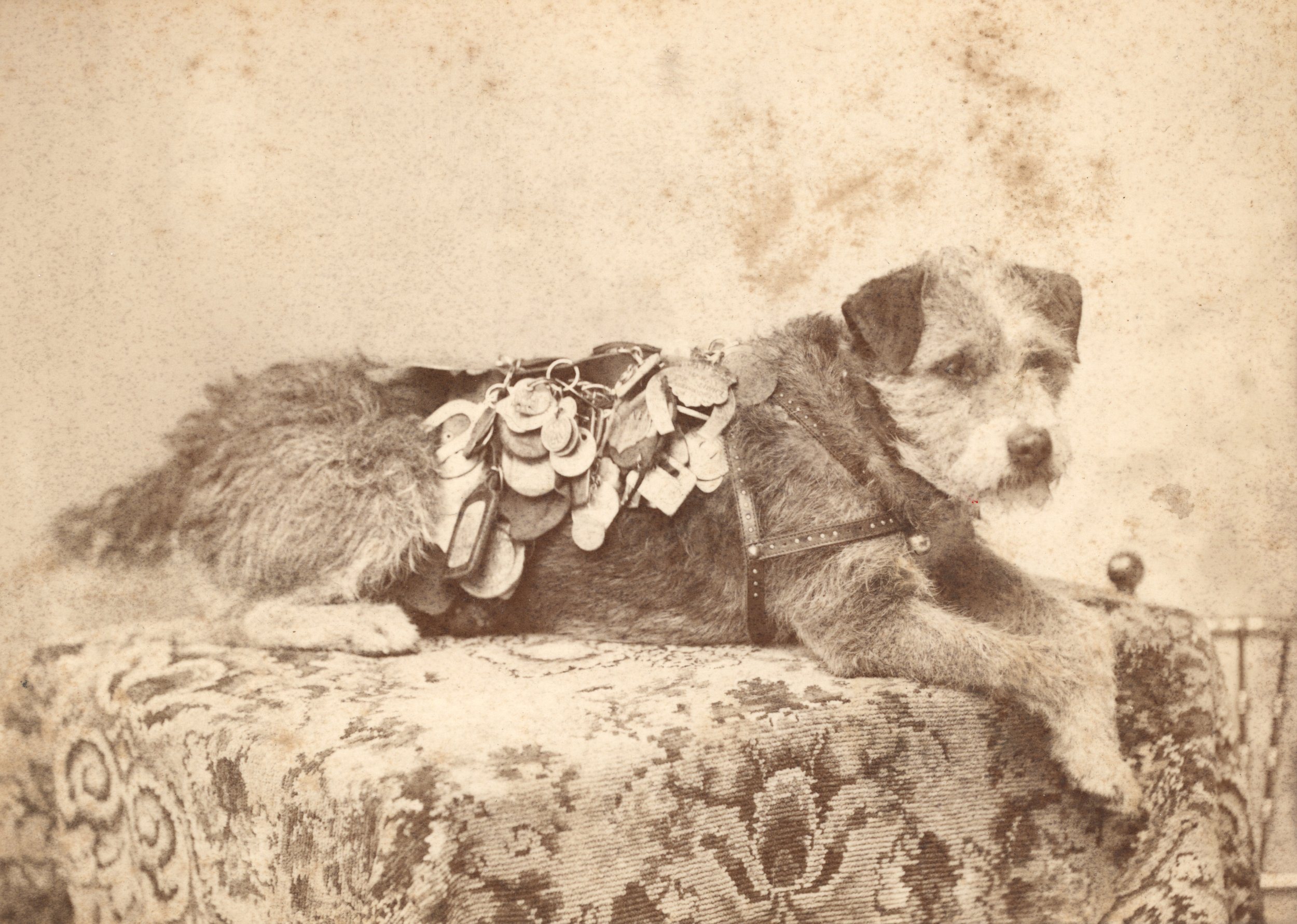 Owney RPO Day July 12, 2025 Learn More