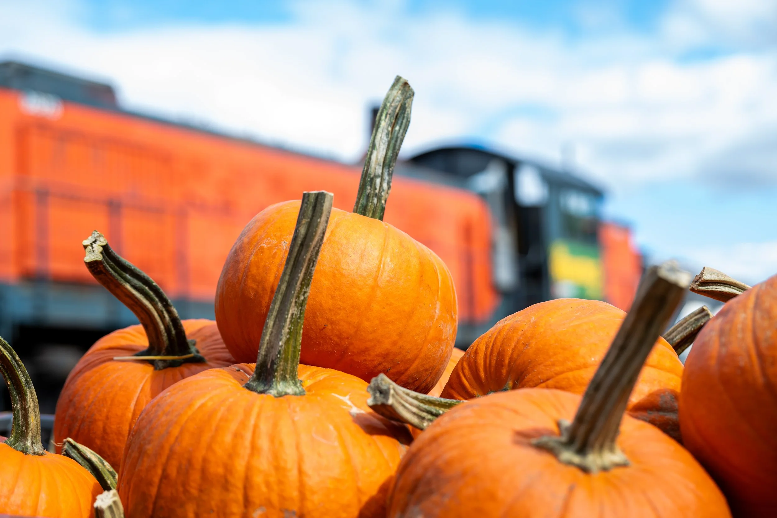 Pumpkin Patch Trains Tickets on sale soon! Learn More