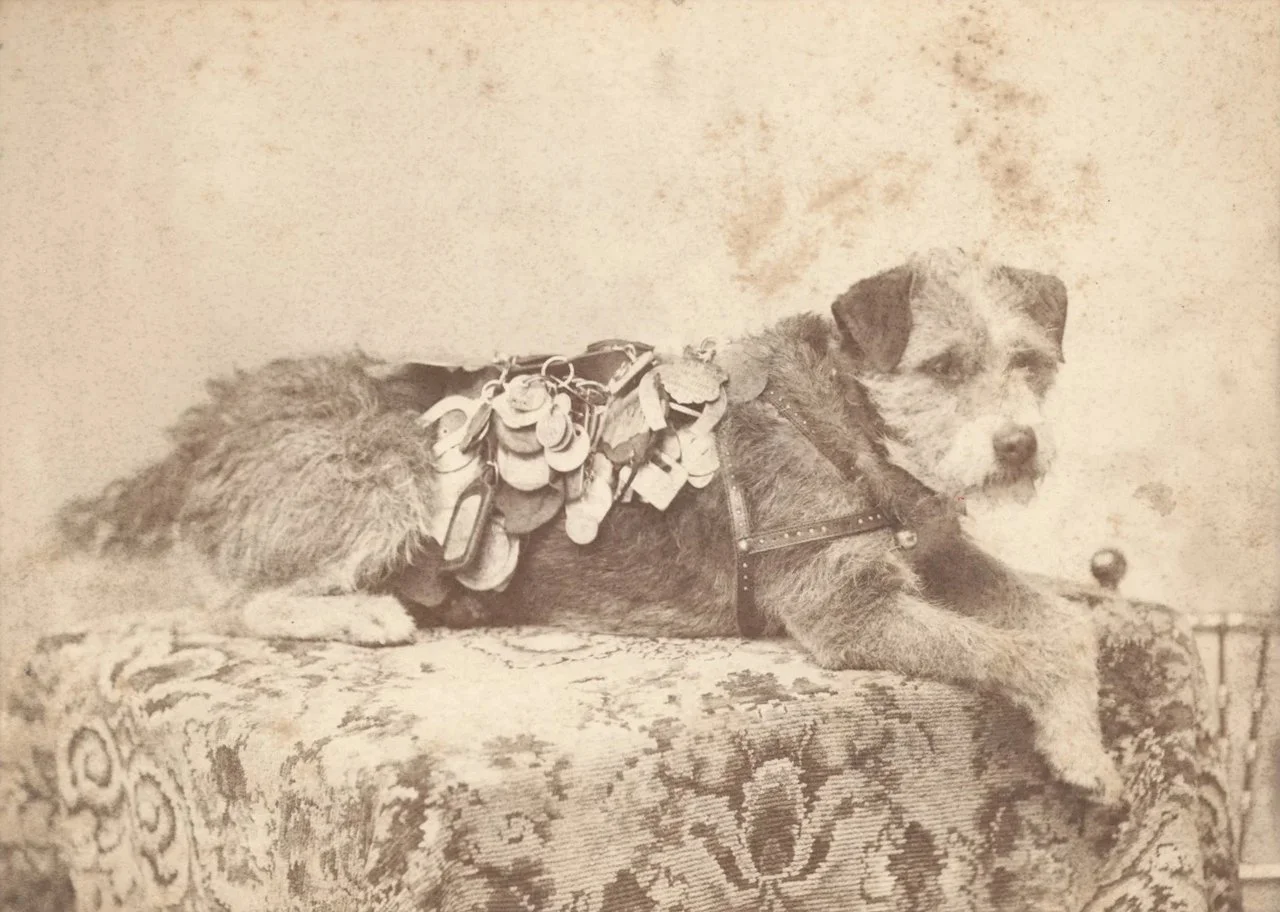  Join us July 11th for   Owney RPO Day    Learn More  