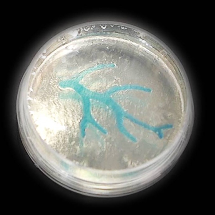 Fluidform 3D Printing Logo in Gel
