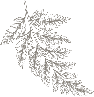 1leaf.png