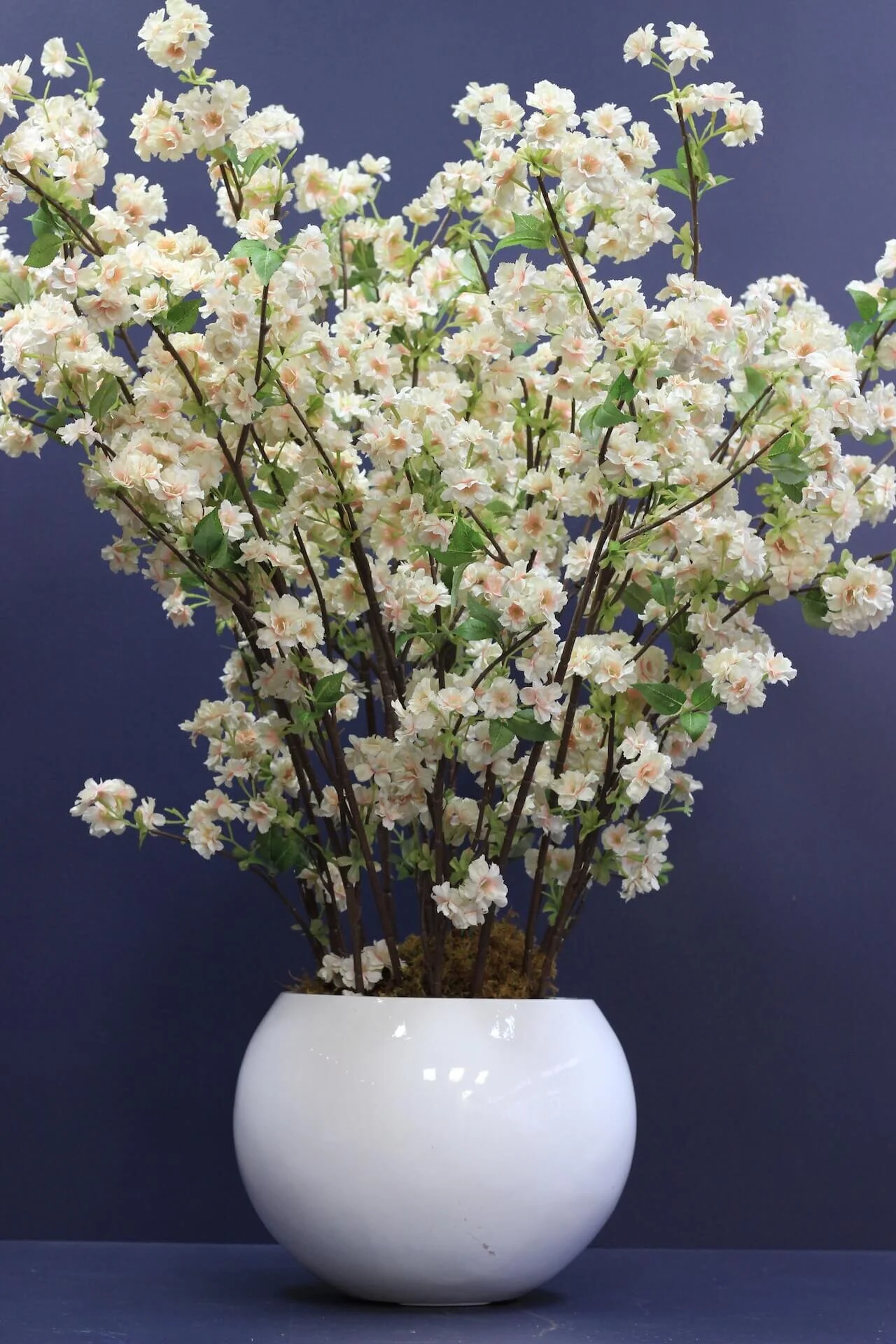 Cherry Blossom Compositions