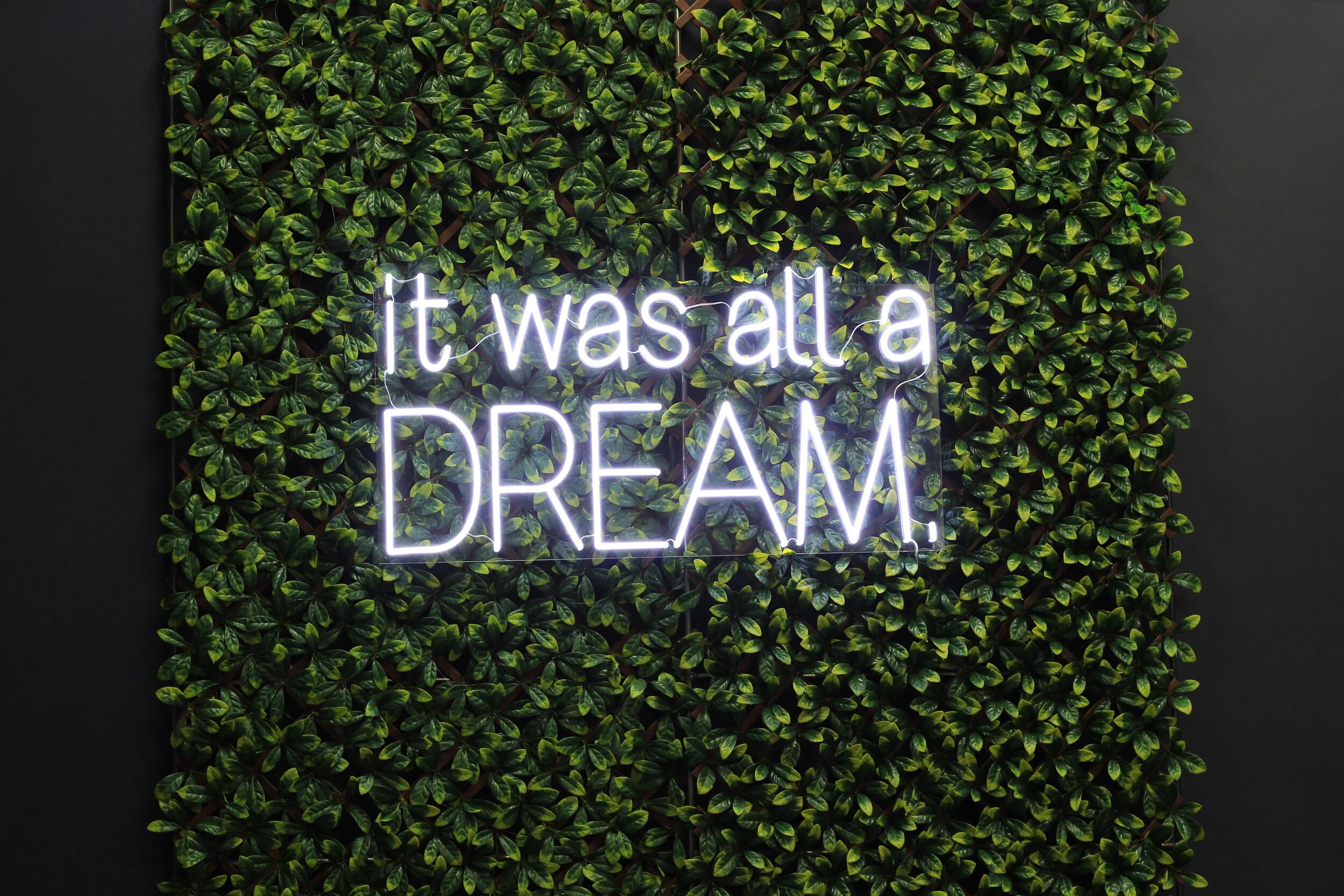 "It Was All A Dream" Neon Sign 