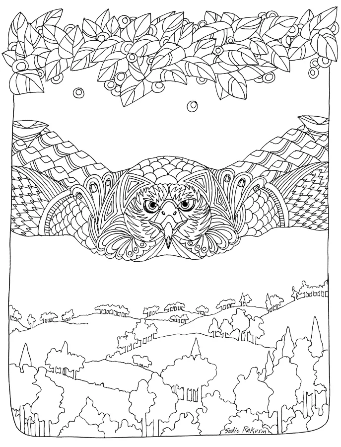 Web-Sudie_Rakusin_nd_Bird-of-Prey.jpg