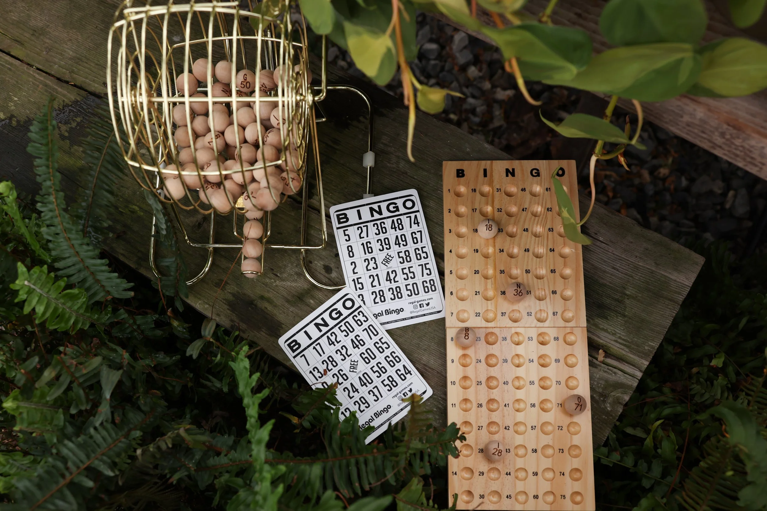Bingo & Botanicals Ticket