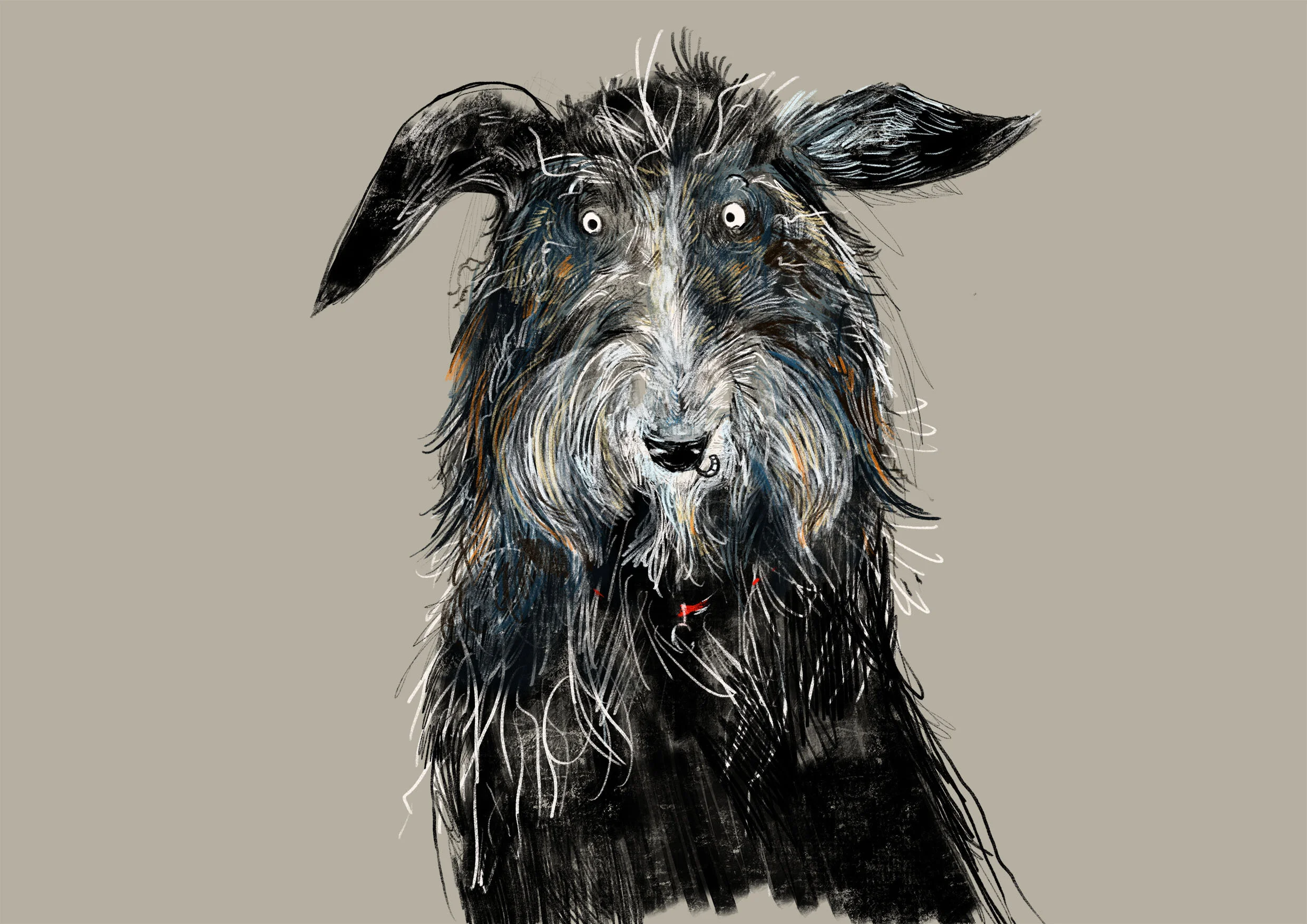 SHORNE_COLOUR4.jpg