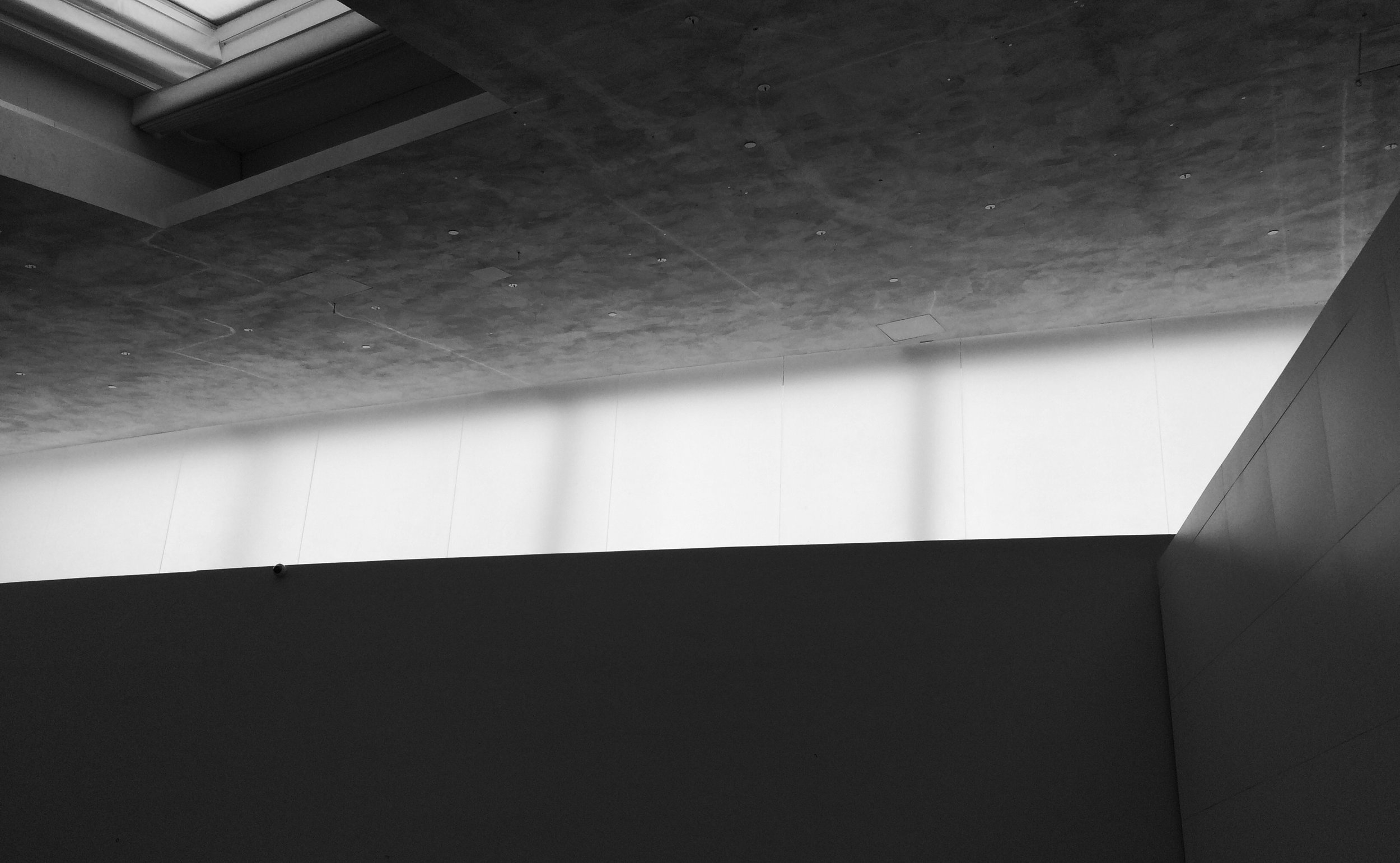 kiasma fuzz.jpeg