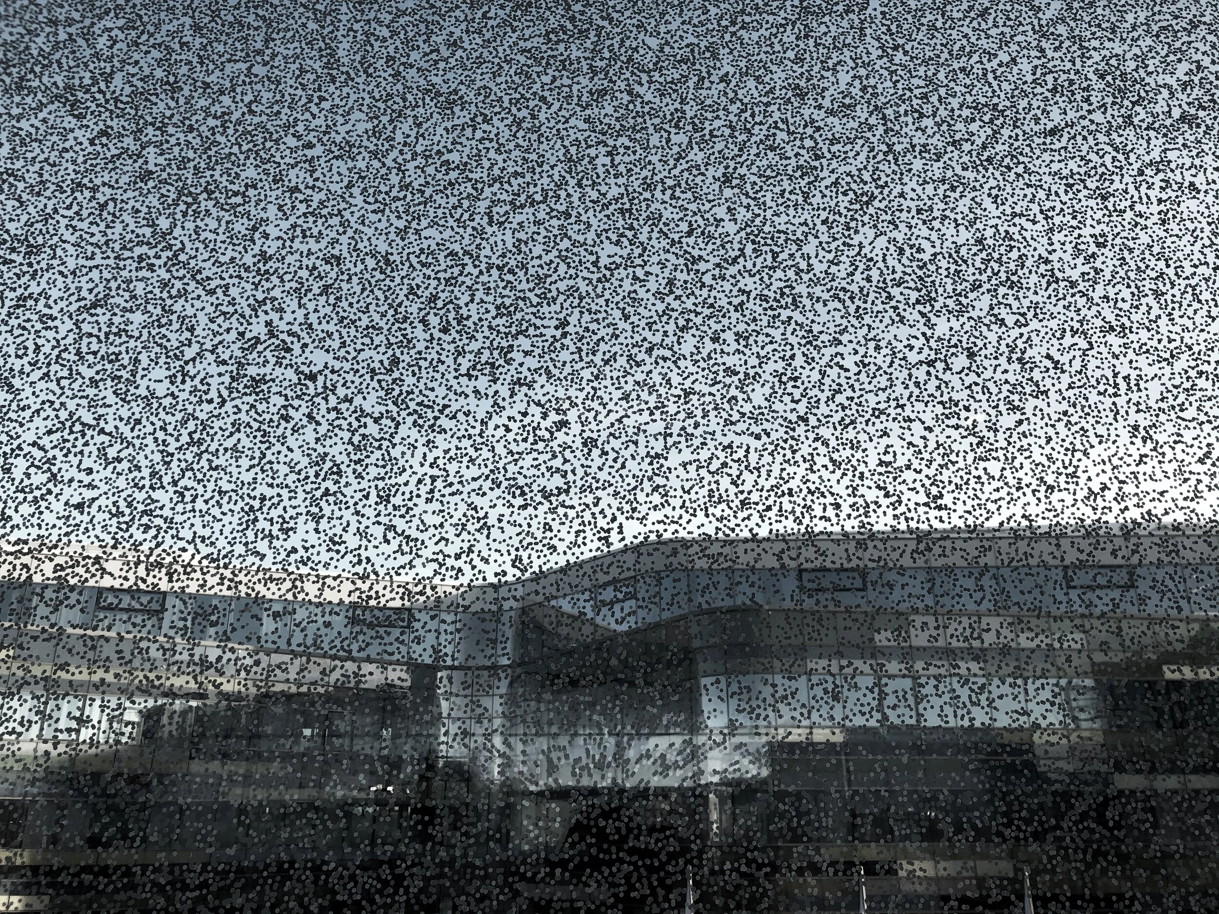 helsinki library dots.jpeg