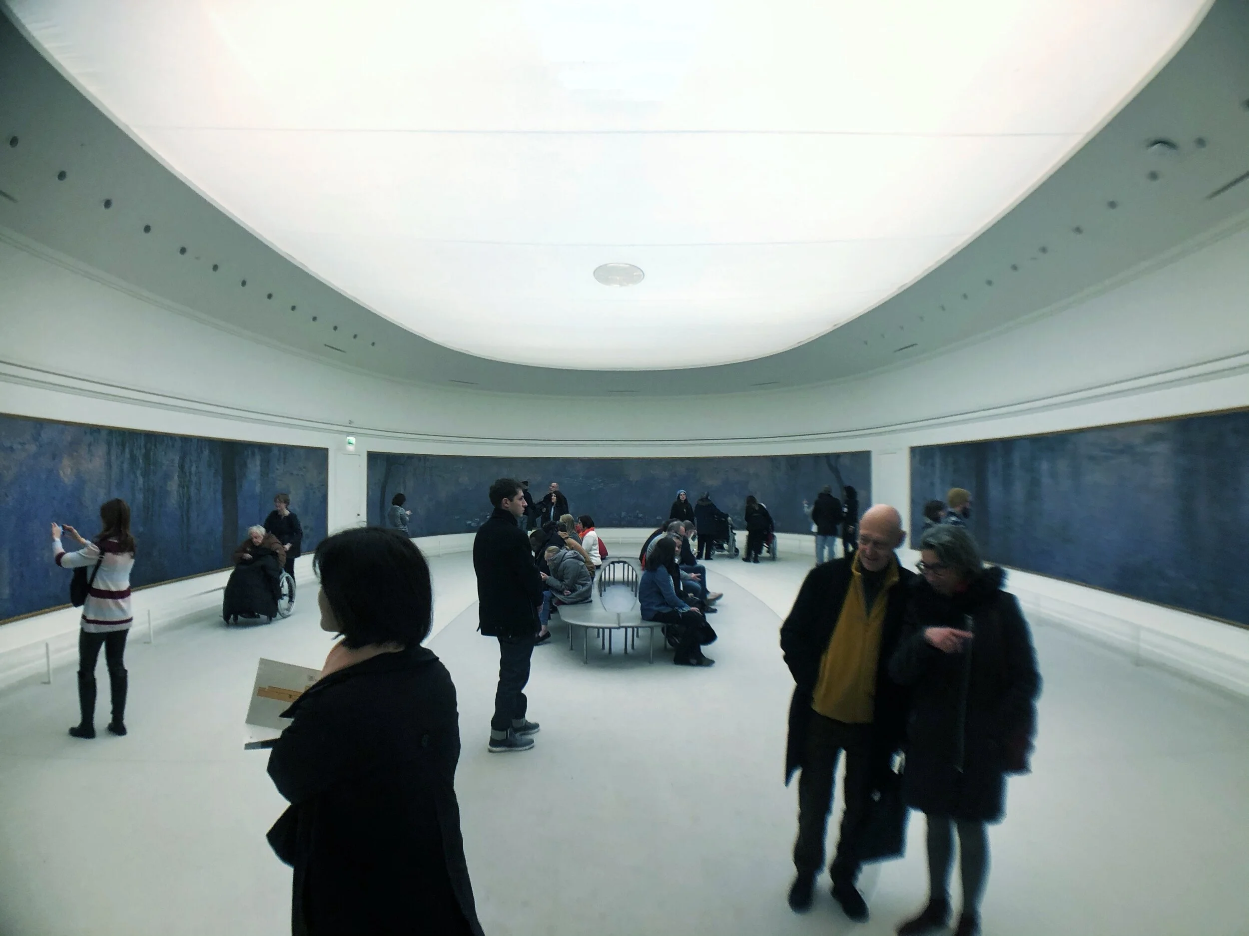 monet l'orangerie.jpeg