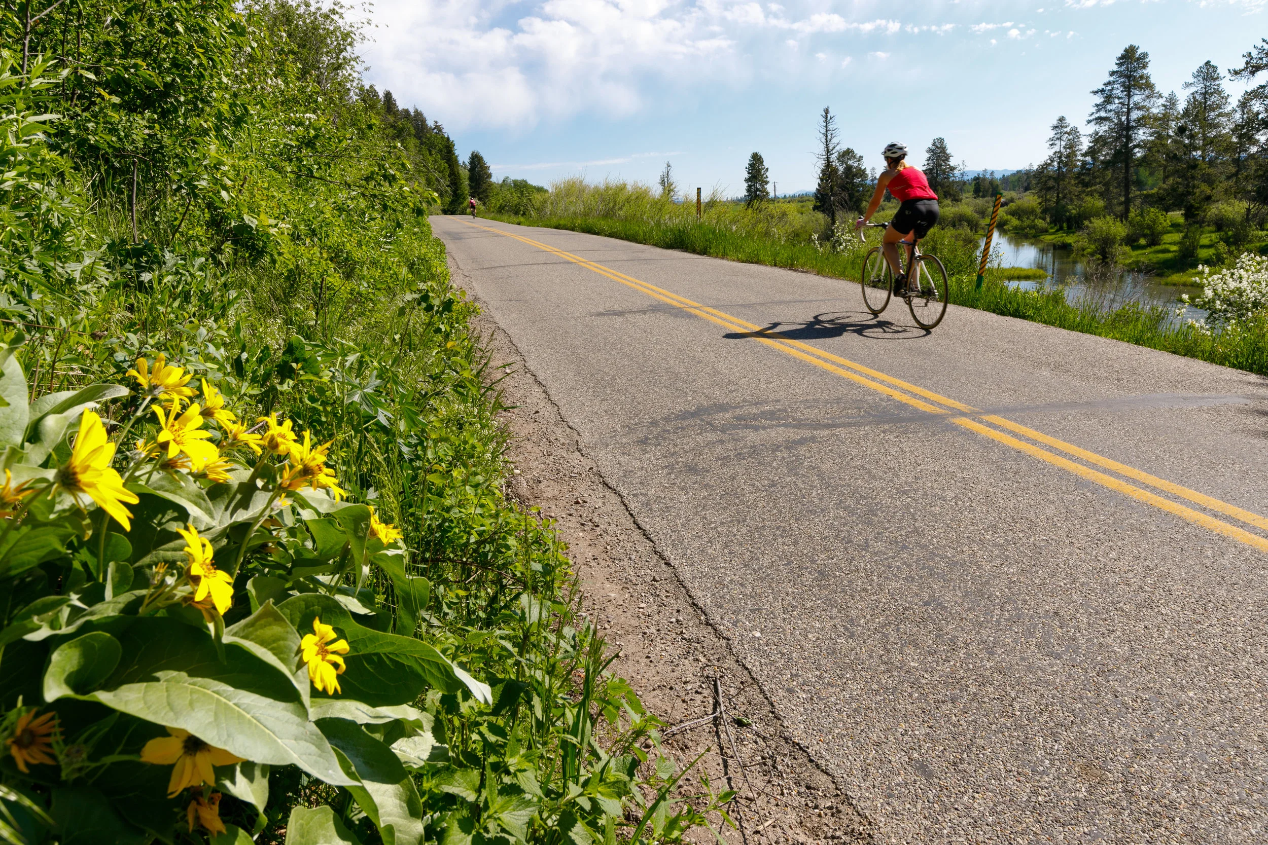 Run-Ride-June-2017_4576.jpg