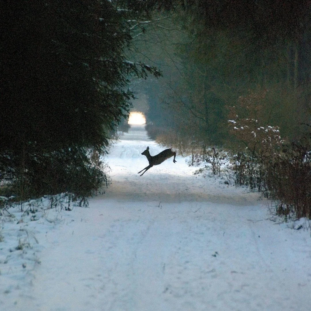 Where Do You Want to Go?