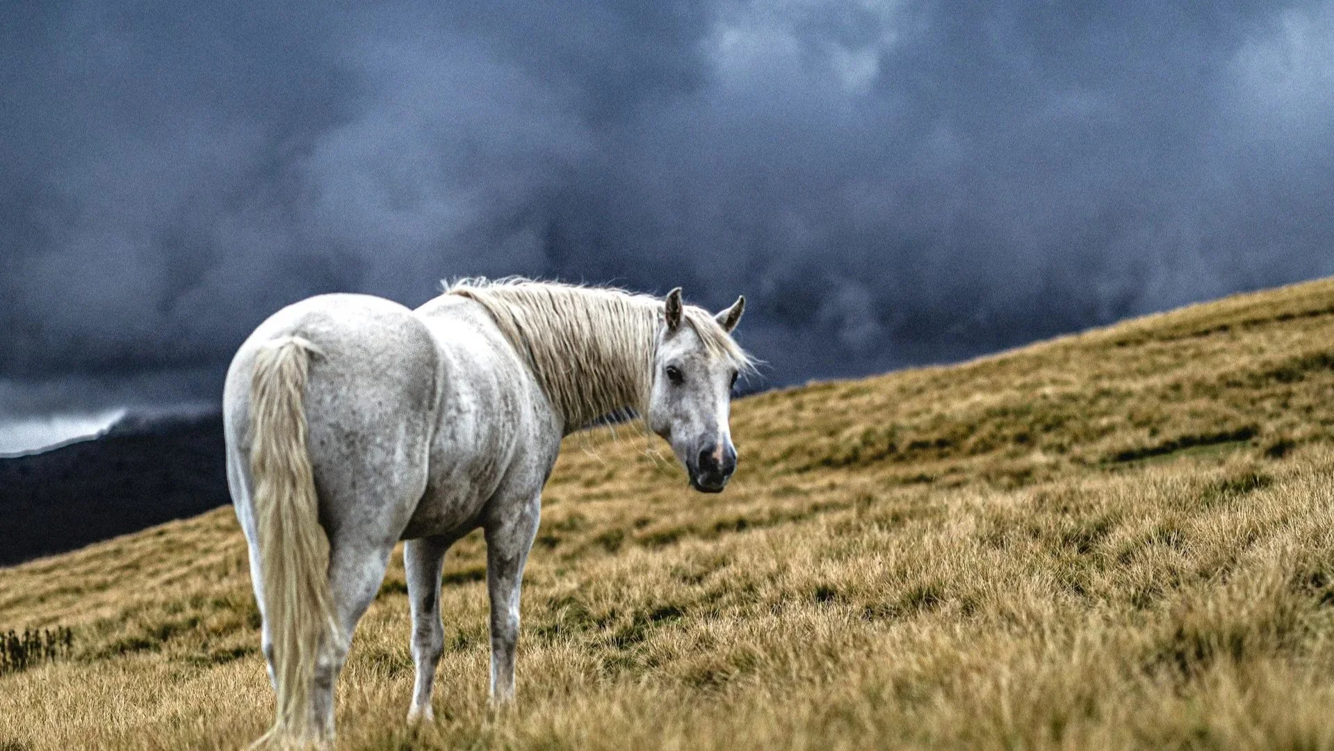 Photo by Marek Piwnicki on Unsplash