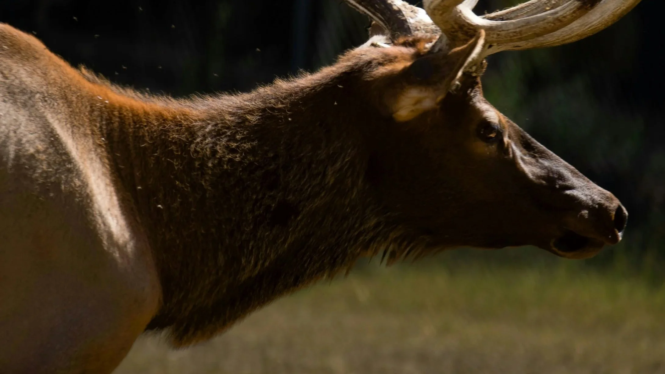 Photo by Matt Richmond on Unsplash