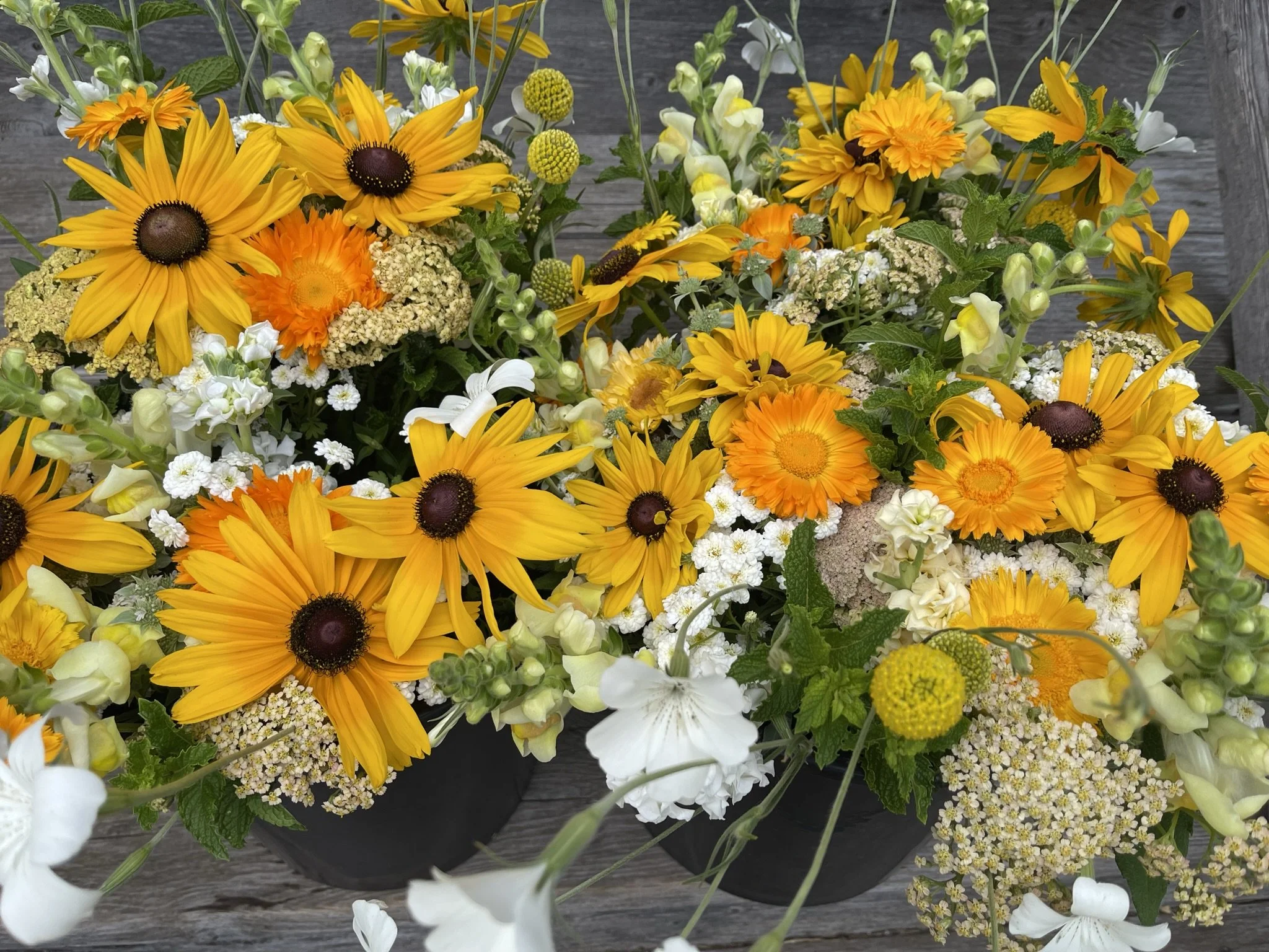 Bouquet Week 11 (6).JPEG