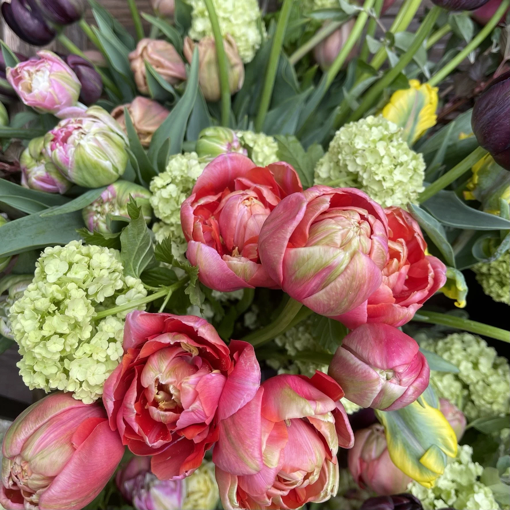 Bi-weekly Bouquet Subscriptions