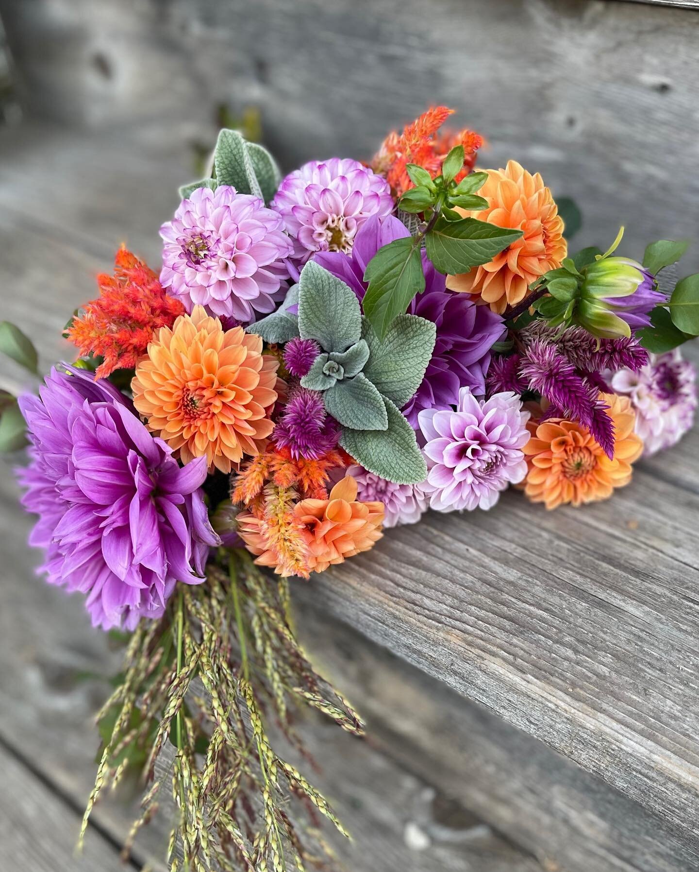 2024 Bouquet Subscription sales launch today! We have Spring, Summer, Fall and full season options available. Not gonna lie, spring flowers are my favorite but who are we kidding, we really need the beauty of fresh cut locally grown flowers in our li