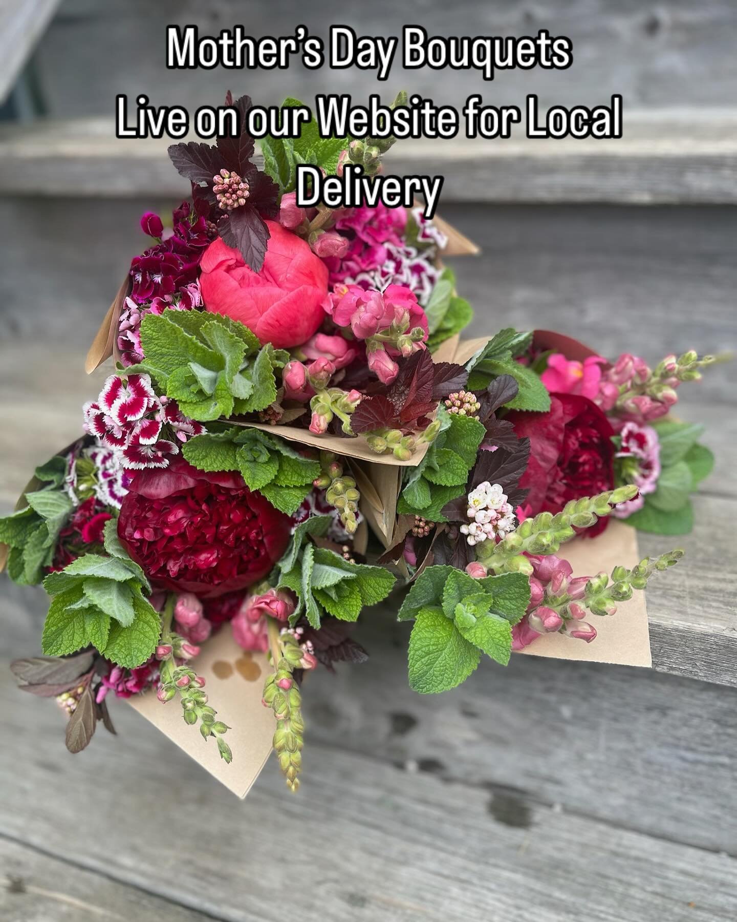Grab a peony bouquet for all the moms in your life. Available on our website for WashMo delivery. 

Or check out our summer and fall bouquet subscription options!

#sweetsoilfarm #bouquetsubscription #washmo #moflowers #sisterfarmers #regenerativegar