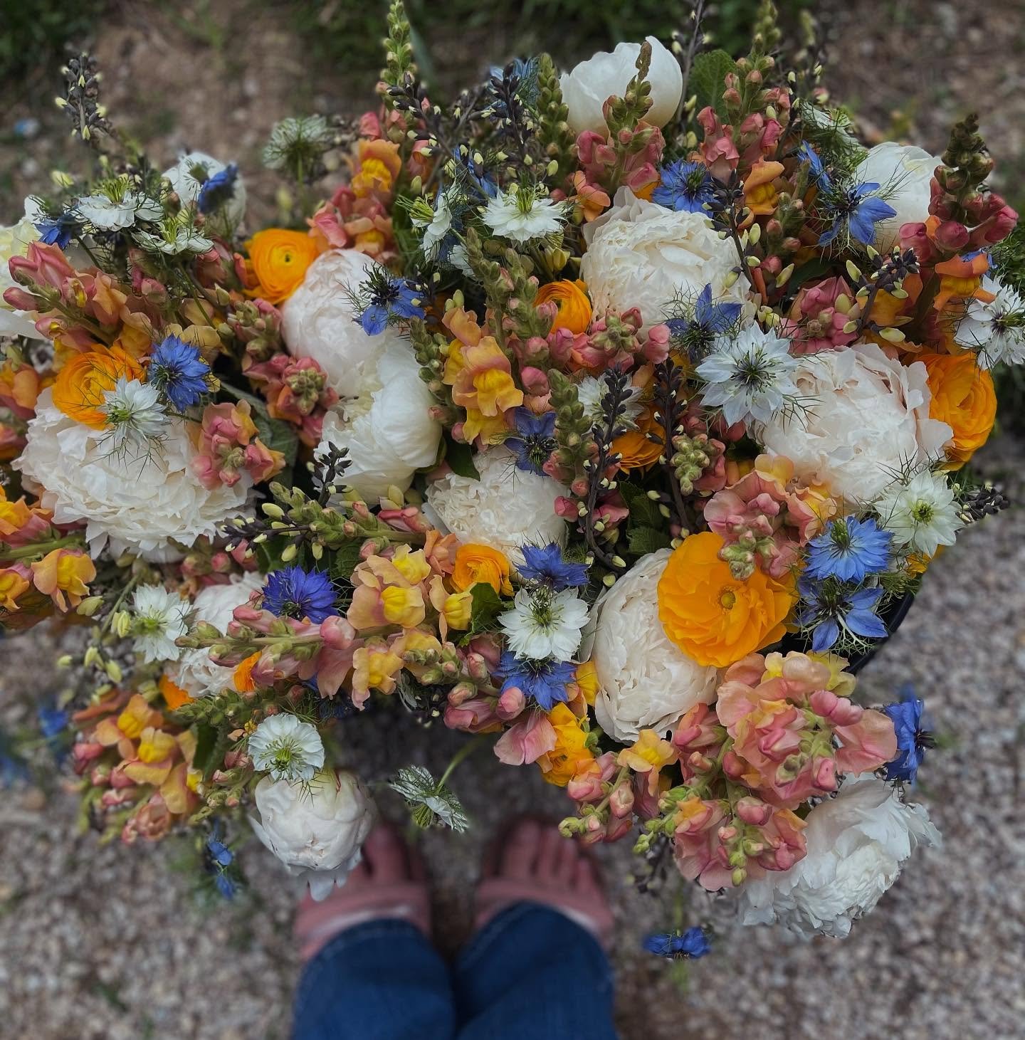 Week four Spring subscriptions dropped this morning. We&rsquo;re loving the peachy orange with the pop of blue. What about you?

#sweetsoilfarm #peonies #sisterfarmers #washmo #washingtonmo #missourigrownflowers #moflowers #communitysupportedagricult