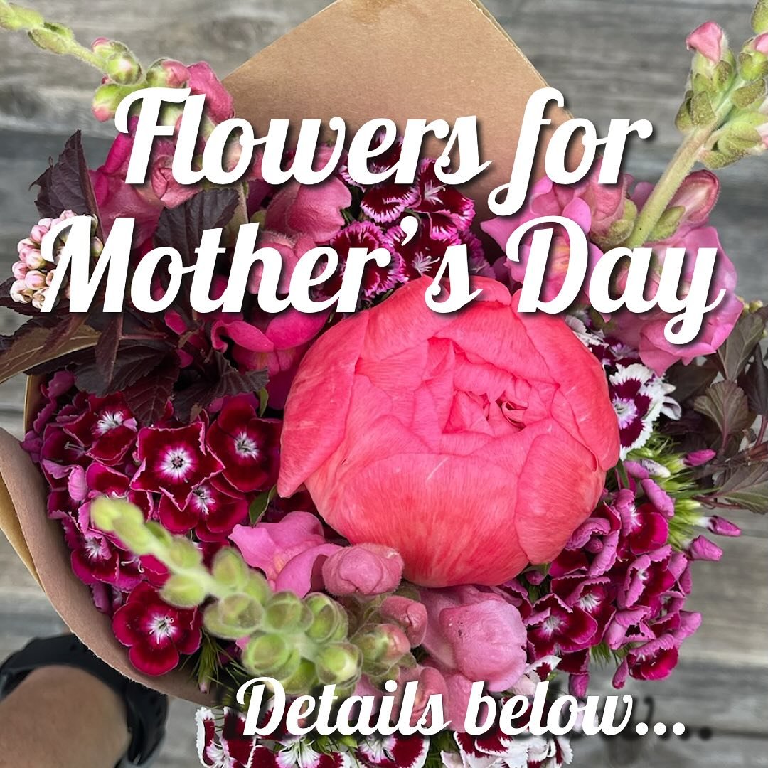 You can find Sweet Soil Flowers this weekend at the following locations:

On Friday at the Meyer Family Barn located at 8932 Hwy 100 from 10am to 5pm.

And 

At the Washington Coffee Shop @washmocoffee on Friday from 8am - 6pm and Saturday from 8am u