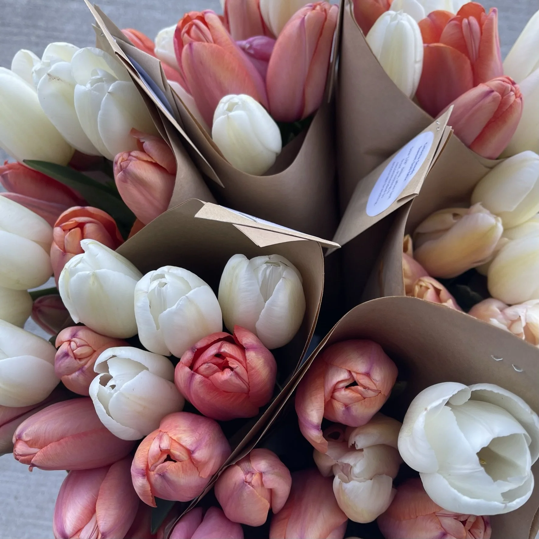 Tulip Bunches (2).JPEG