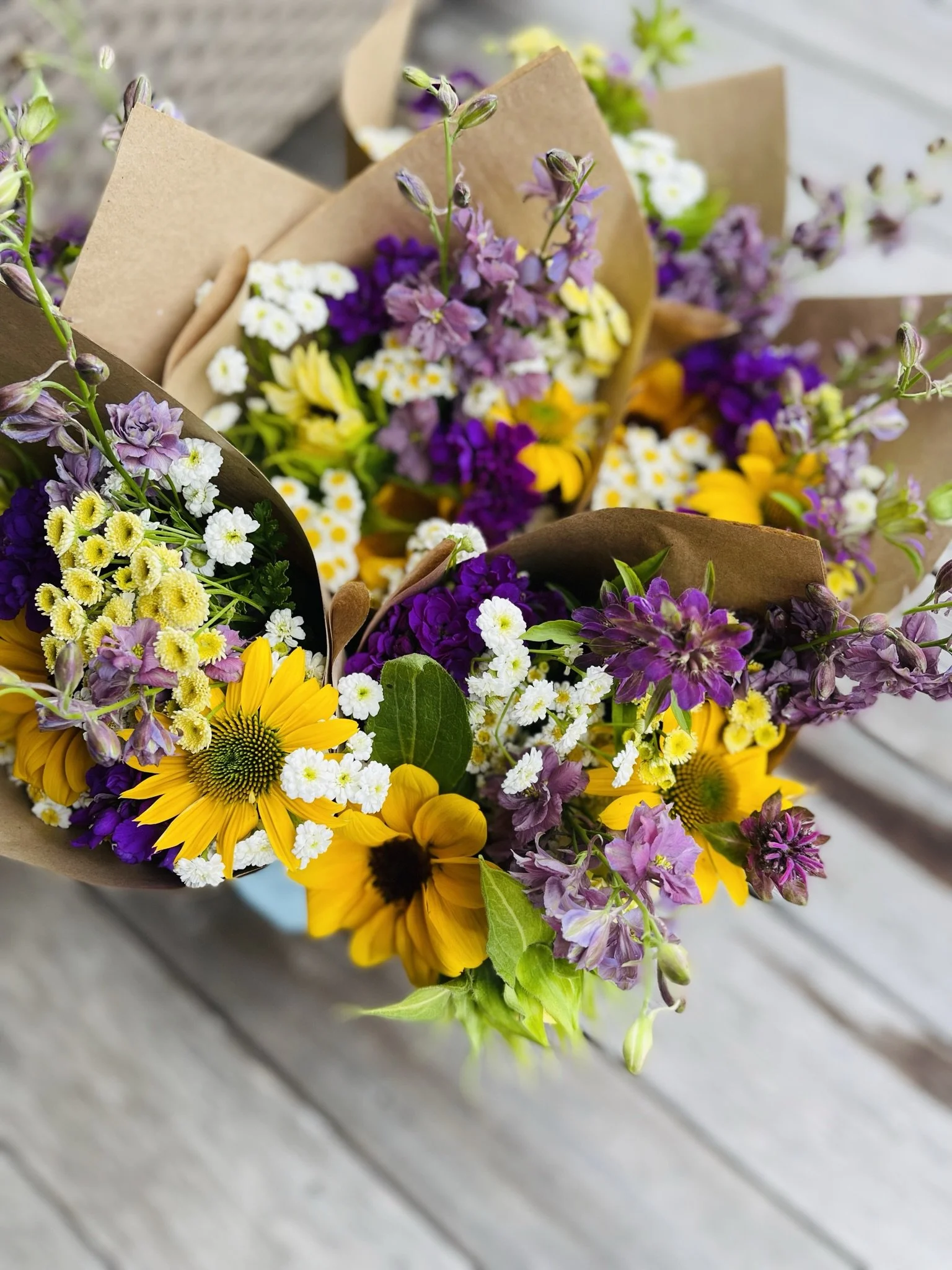 Bouquet, Bucketful Mini Sunflowers.JPEG (Copy)