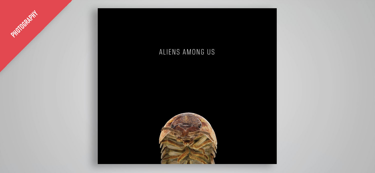 Aliens_Interior1.jpg