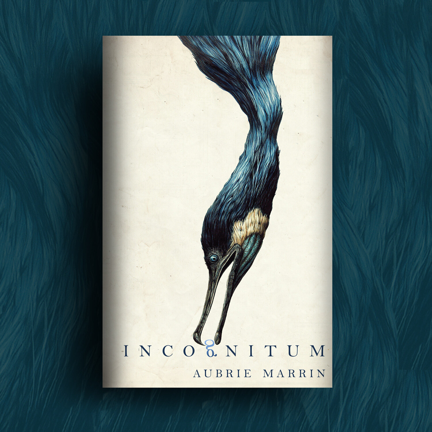 Incognitum