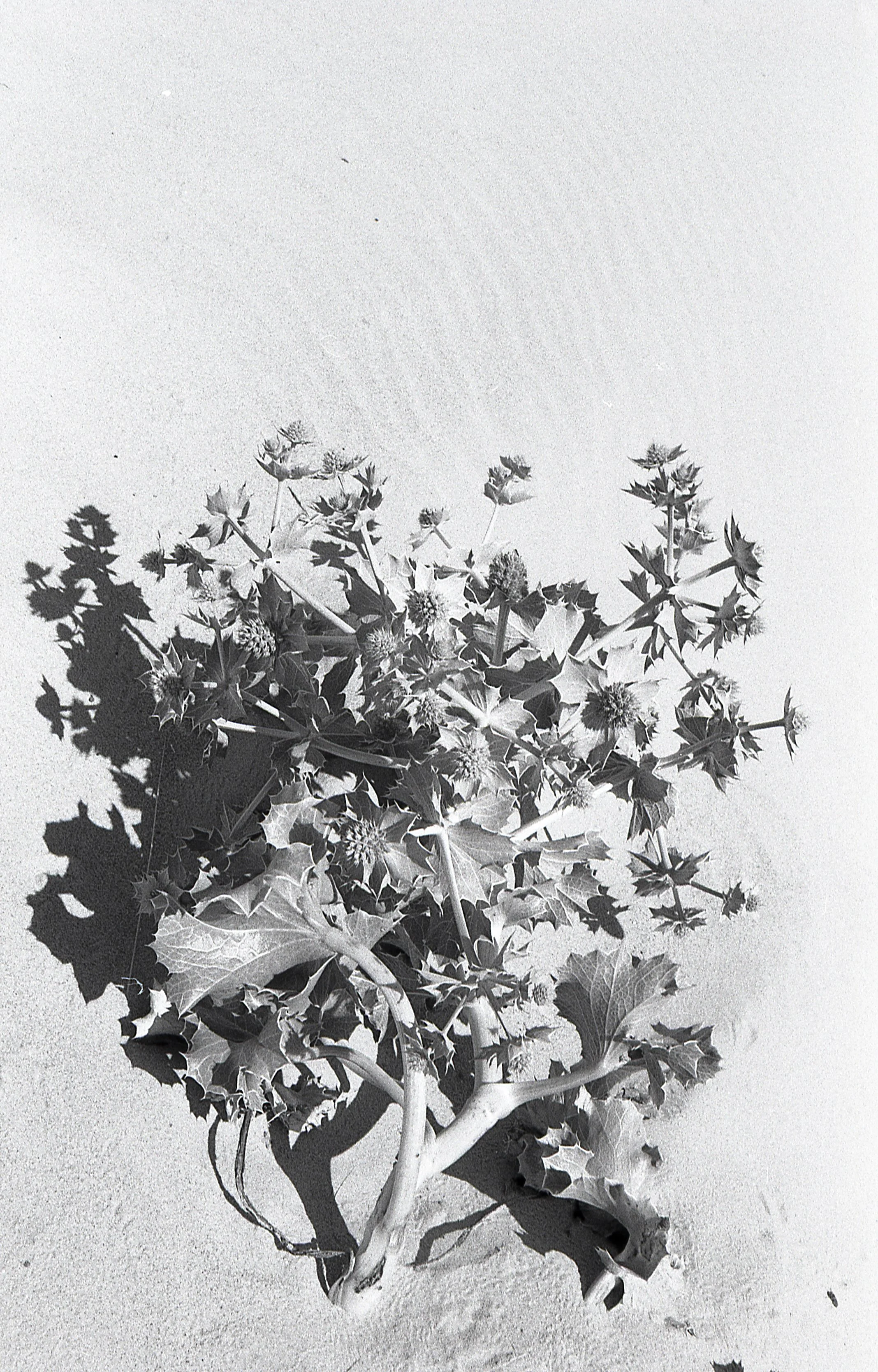 TS_20190918_0003.jpg