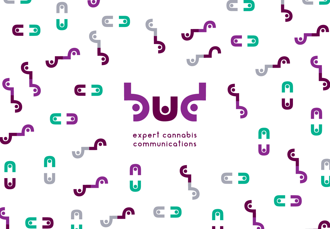 BUD-pattern-FORWEB.jpg