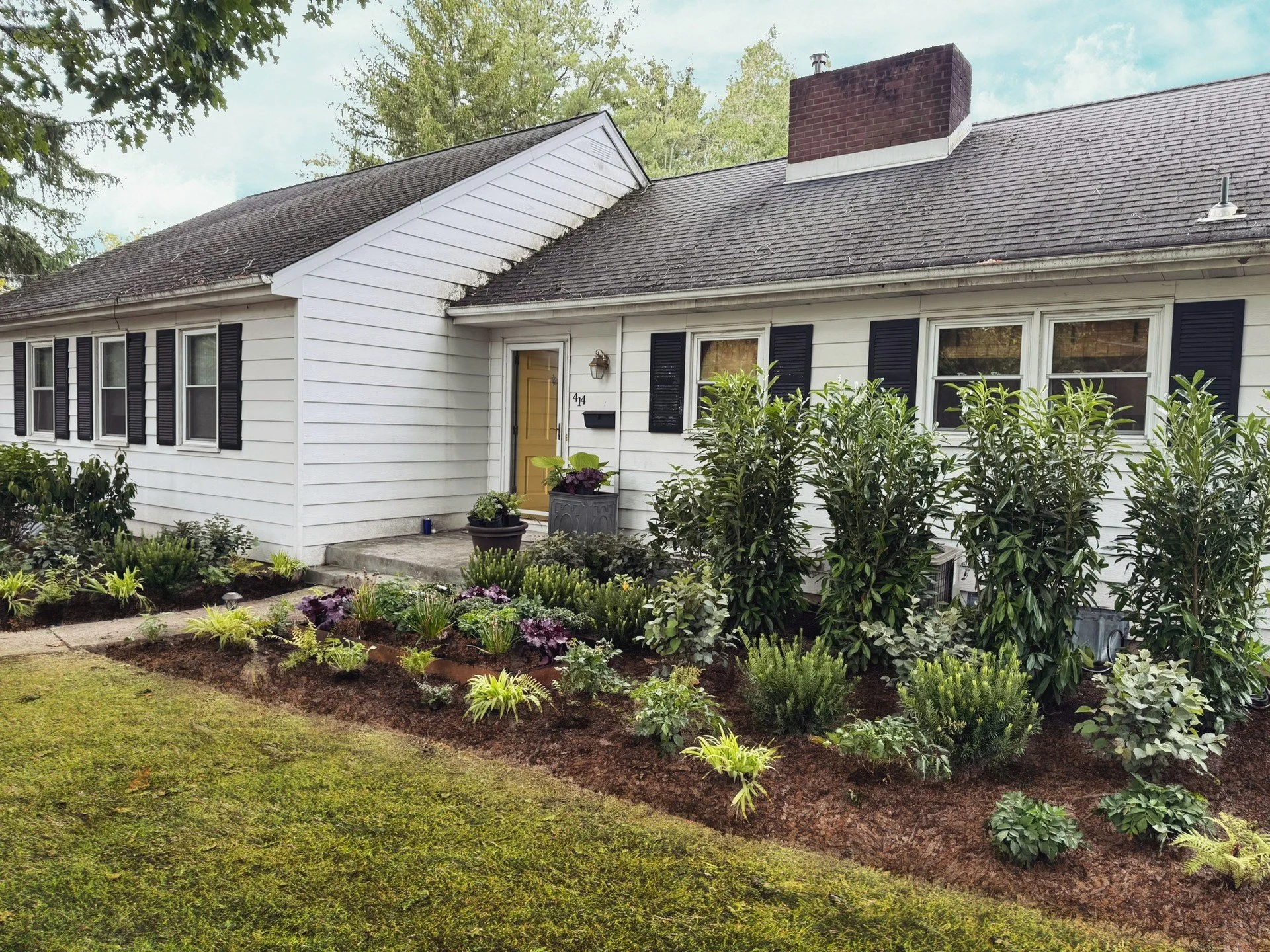 Two day complete makeover in Princeton. All deer resistant plantings with balanced seasonal interest and clean lines to draw the eye. Curb appeal ✅

#landscapedesign #landscapearchitecture #garden #gardendesign #gardendesigner #plant #plantsmakemehap