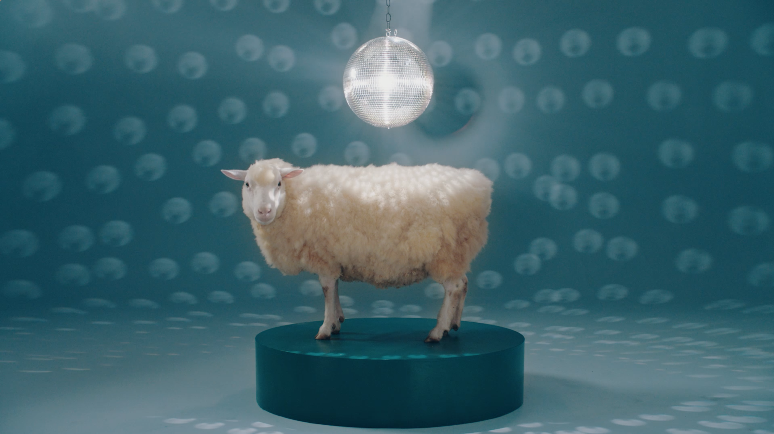 Screen Shot 2019-02-18 at 4.00.43 PM.png