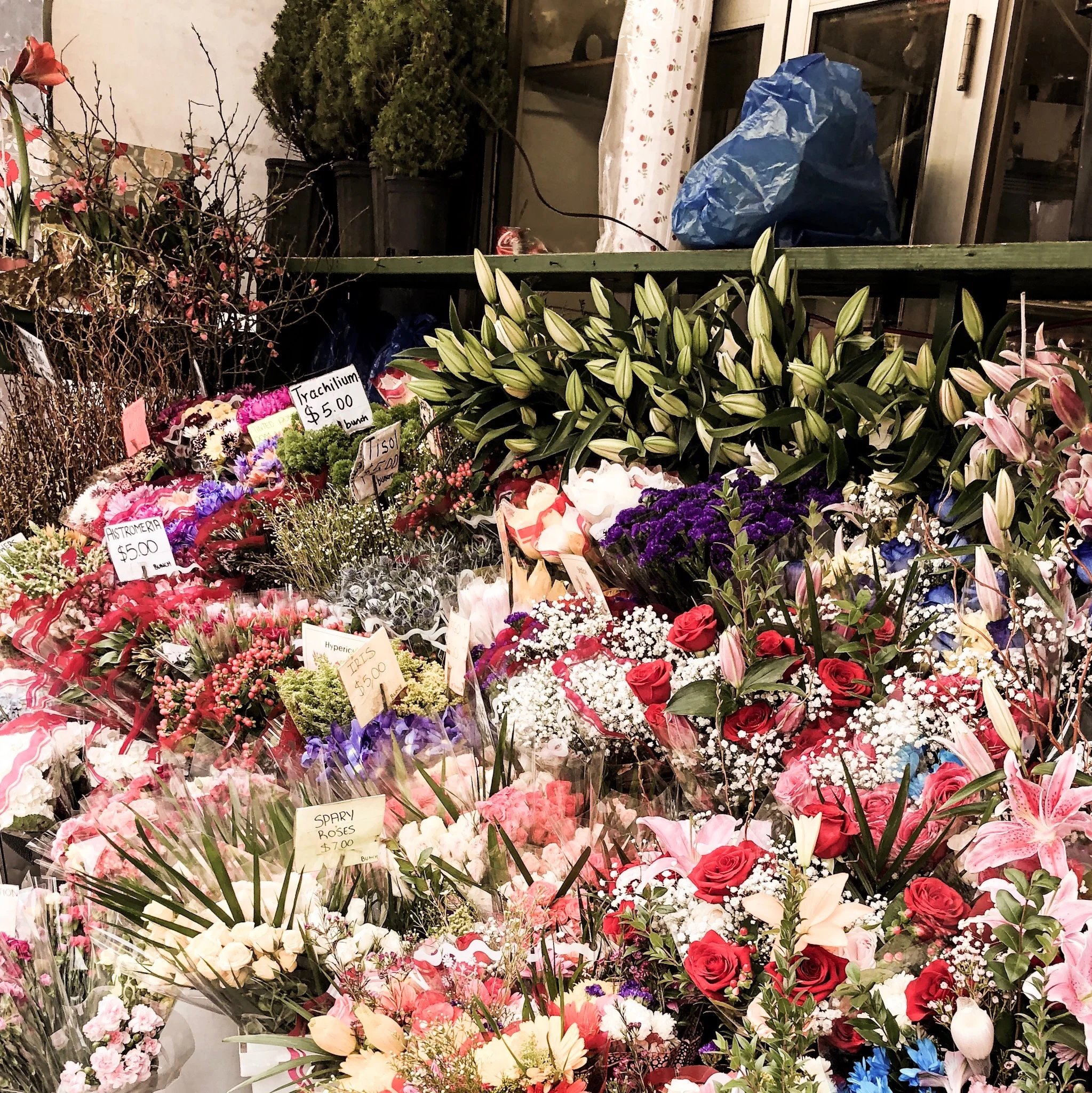 NYC_Florals_Elle_Harikleia.jpeg