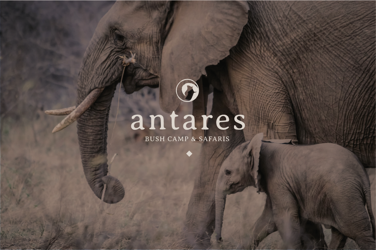 Antares_showcase-01.png