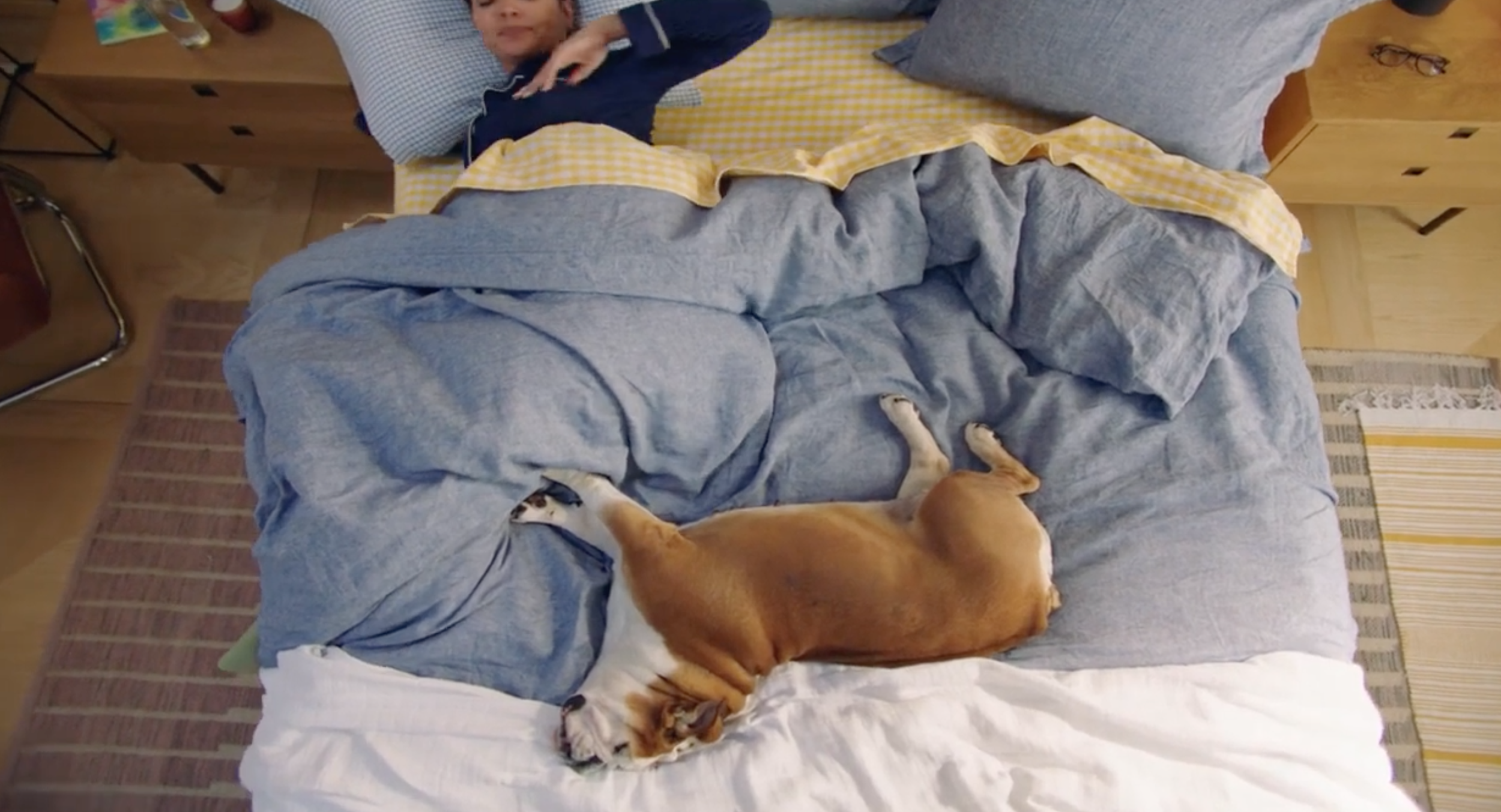 Screen Shot 2024-08-29 at 2.46.22 PM.png