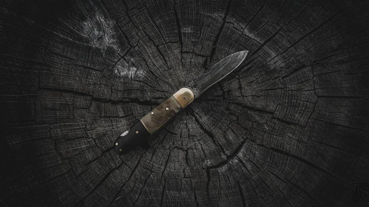 knife-pocket-knife-sharp-2599276.jpg