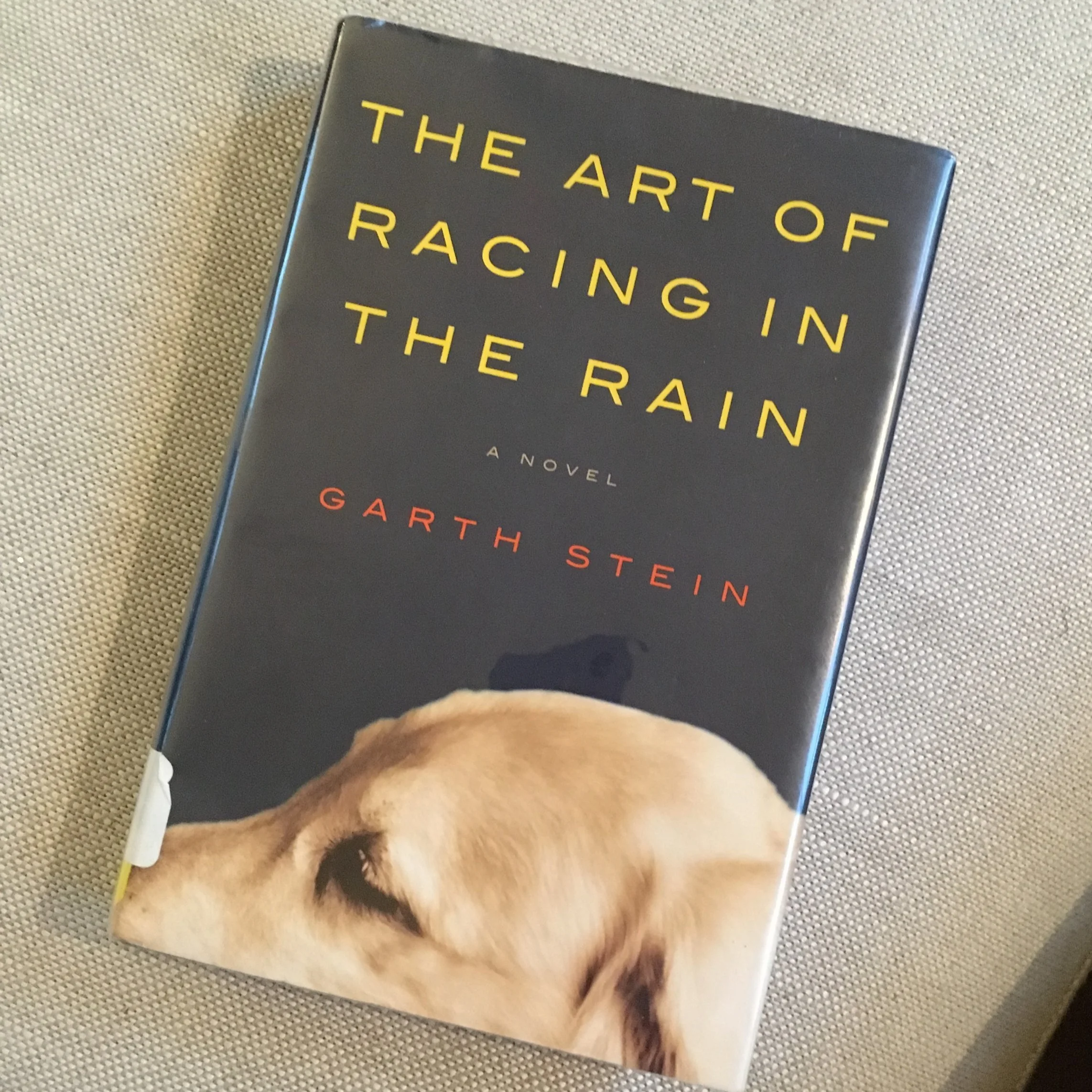 The Art of Racing in the Rain with Garth Stein