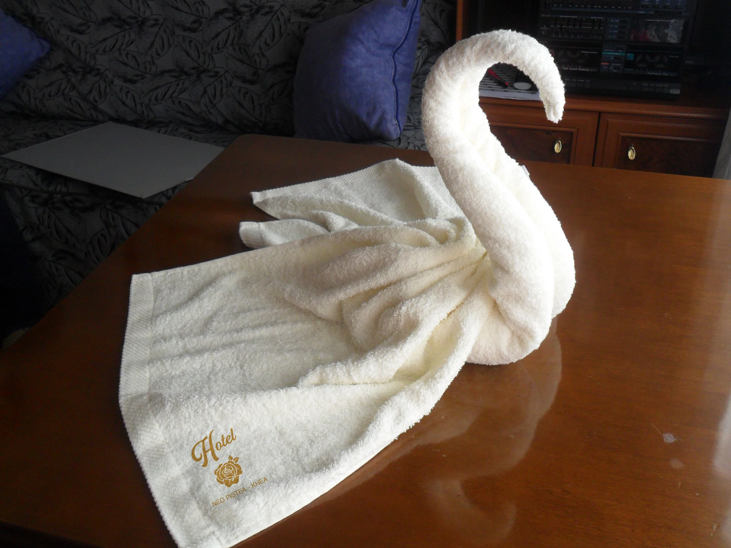 cisne.jpeg