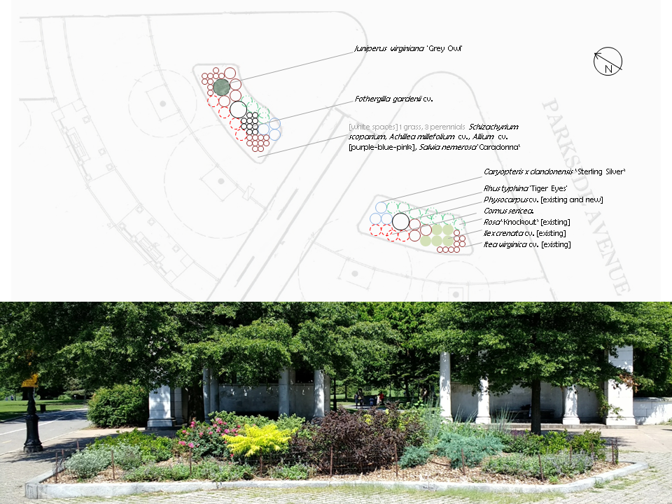   Pergola Entrance Planting Design   May 2017 | Prospect Park, Brooklyn, NY Digital drawing, woody and herbaceous plants. 2 planted beds of 45’x15’ each.  A combination of native and exotic shrubs, grasses and perennials as a greeting garden on the u
