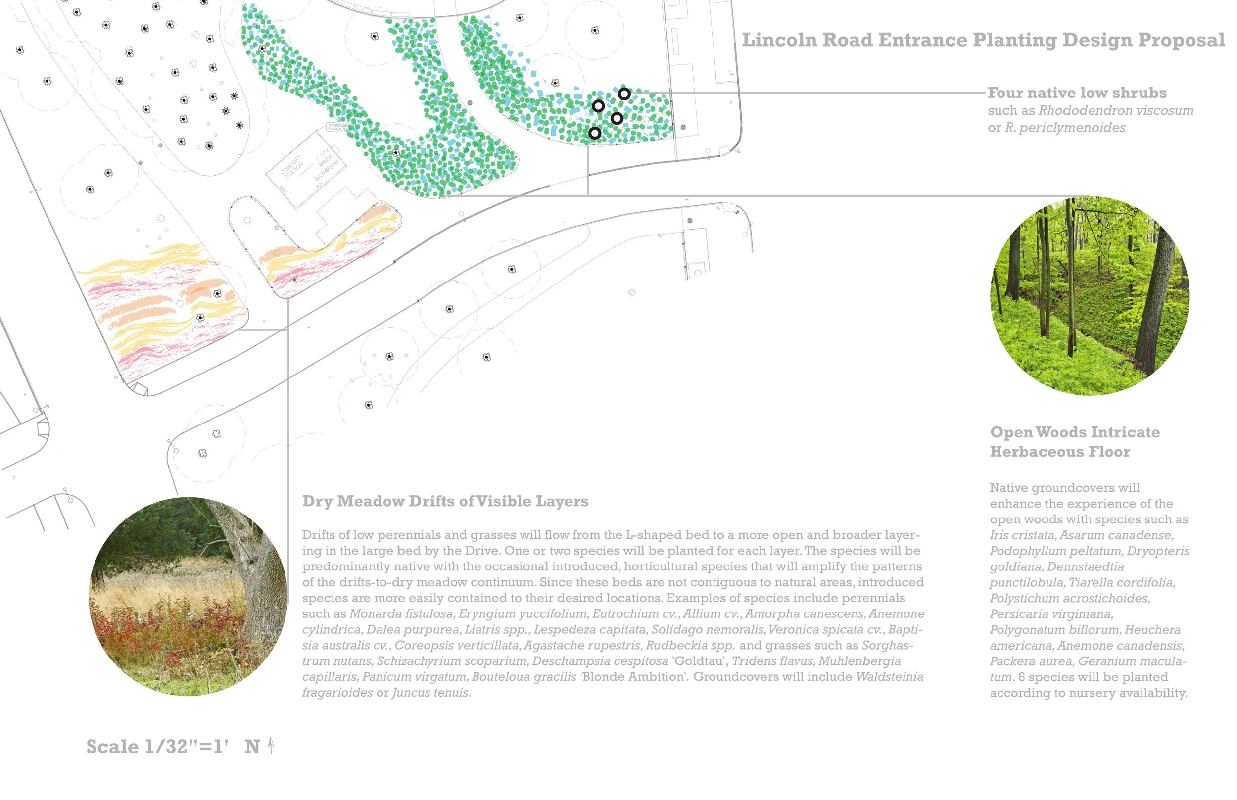 Lincoln Road- Planting Design 2 (RGB).jpg