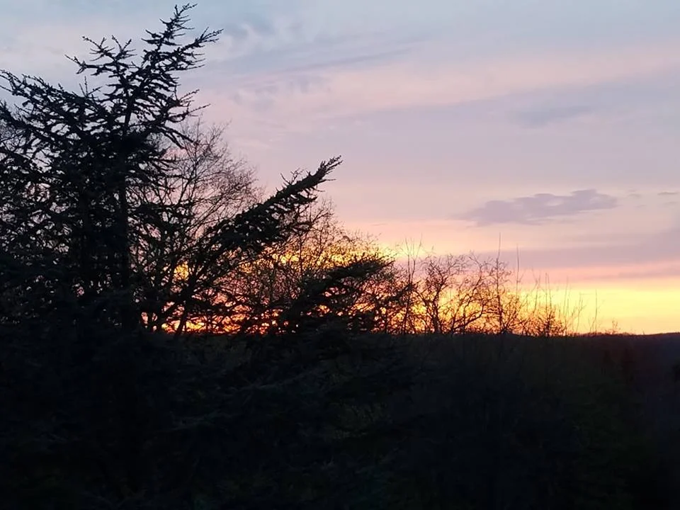 sunset.jpg