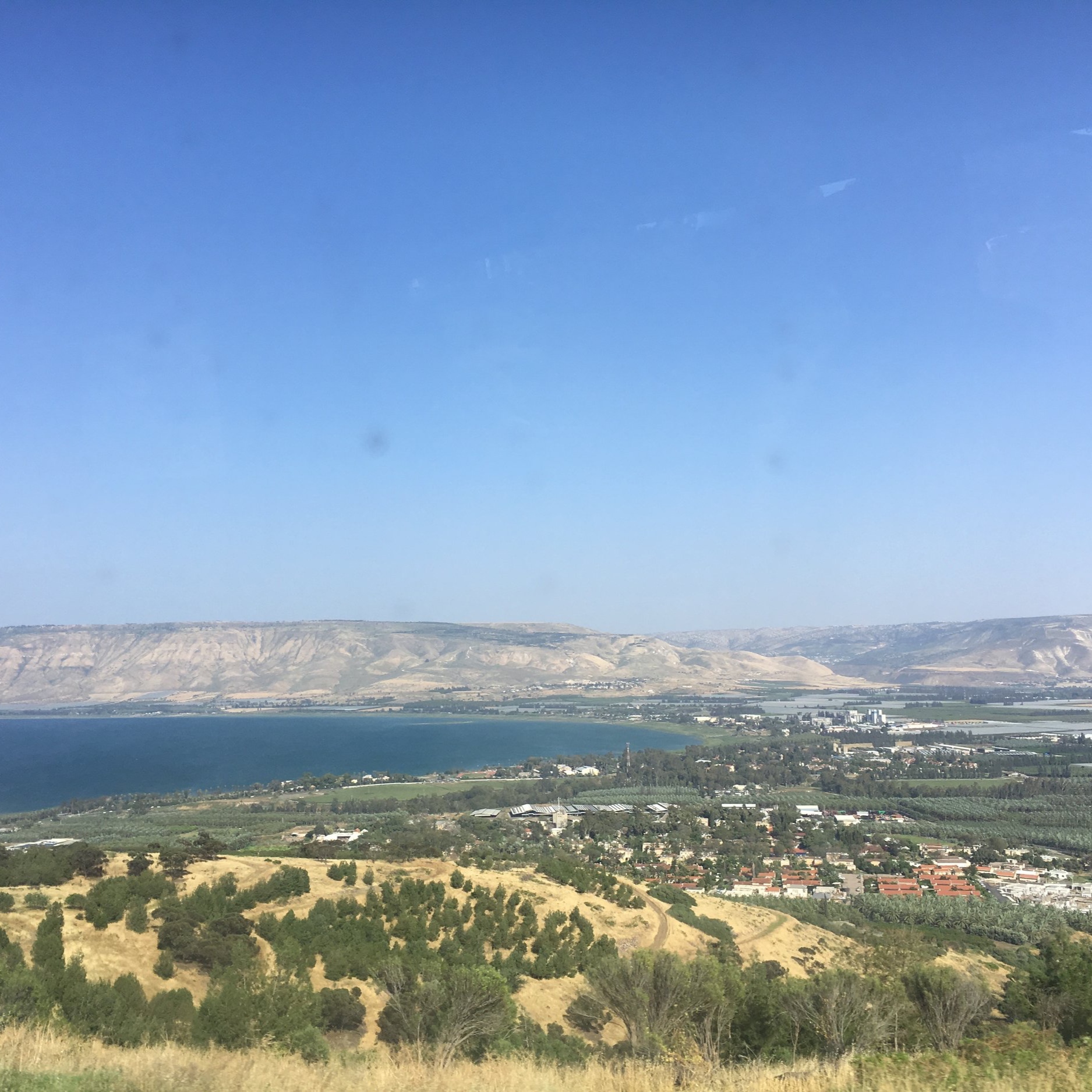 IMG_3128.jpeg