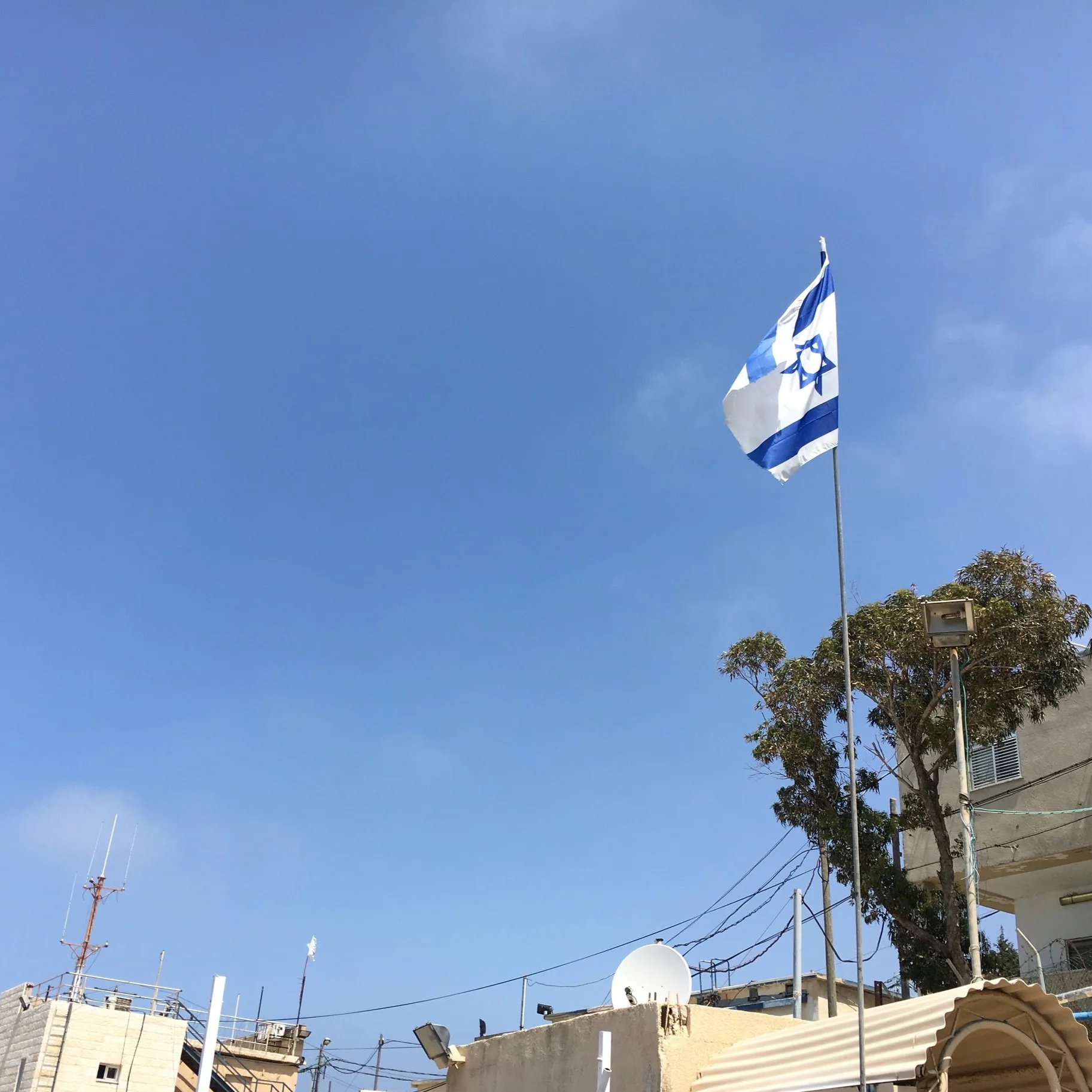 IMG_2677.jpeg