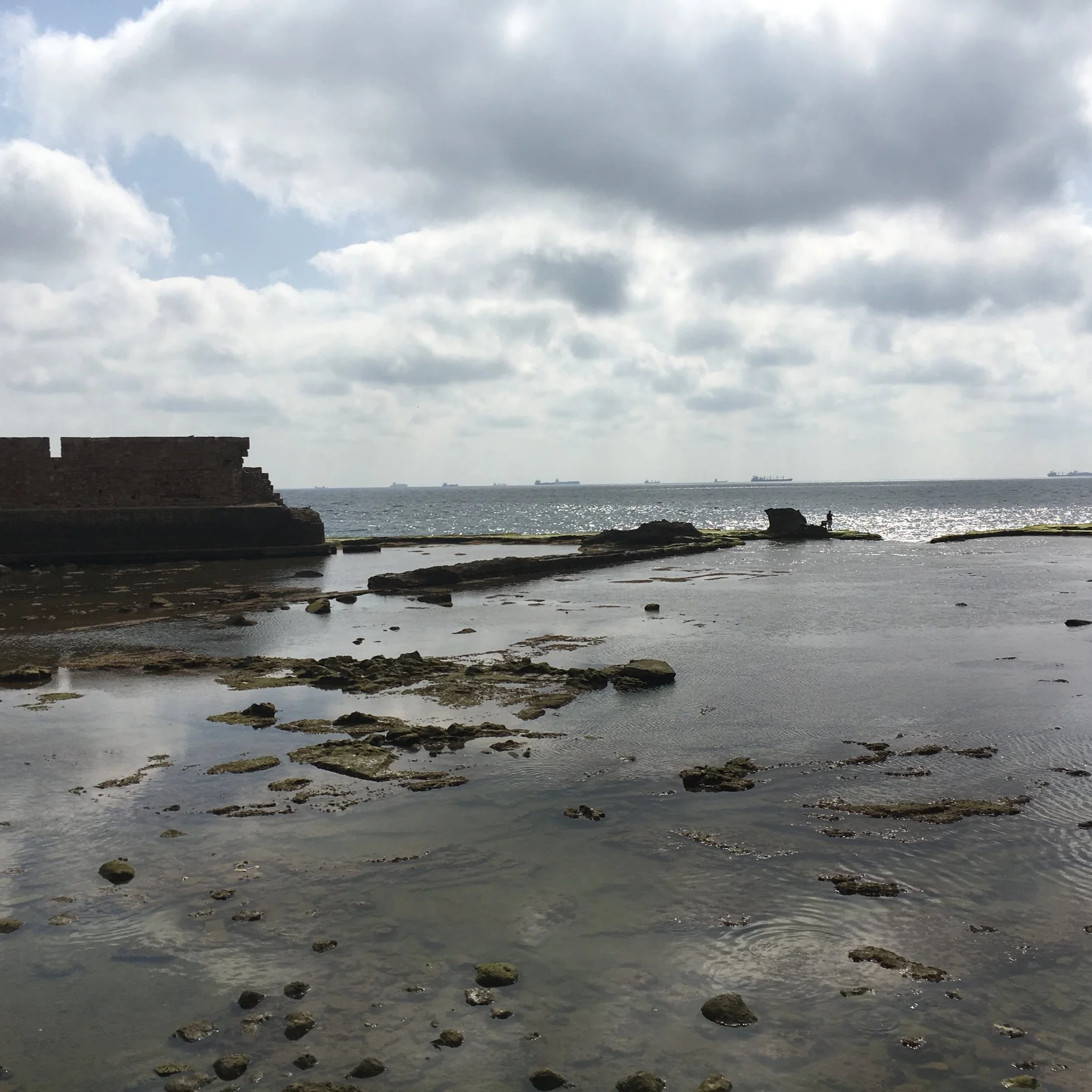 IMG_2702.jpeg