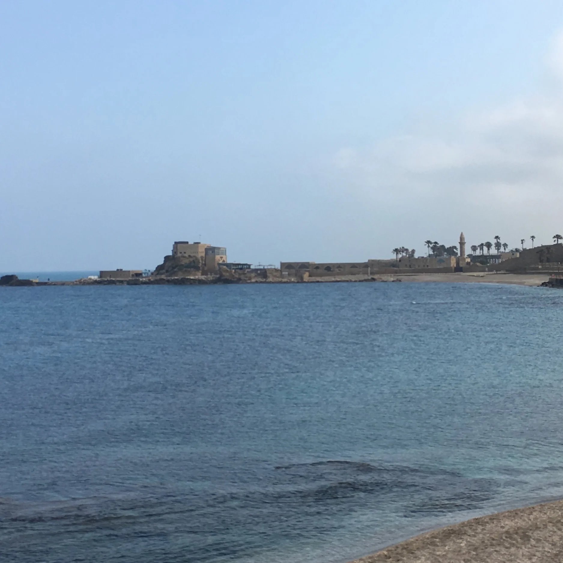 IMG_2638.jpeg