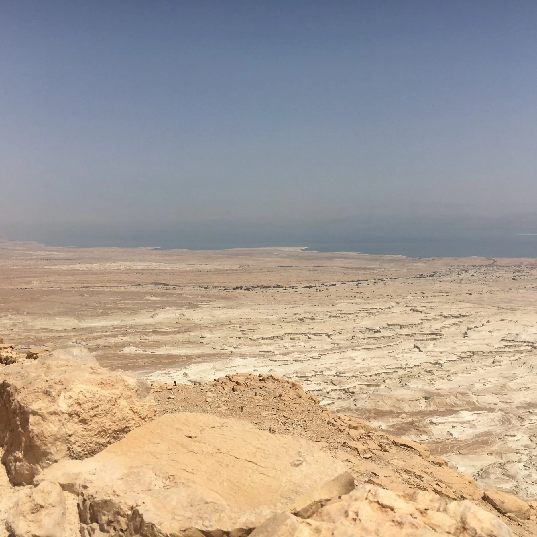 IMG_2826.jpeg