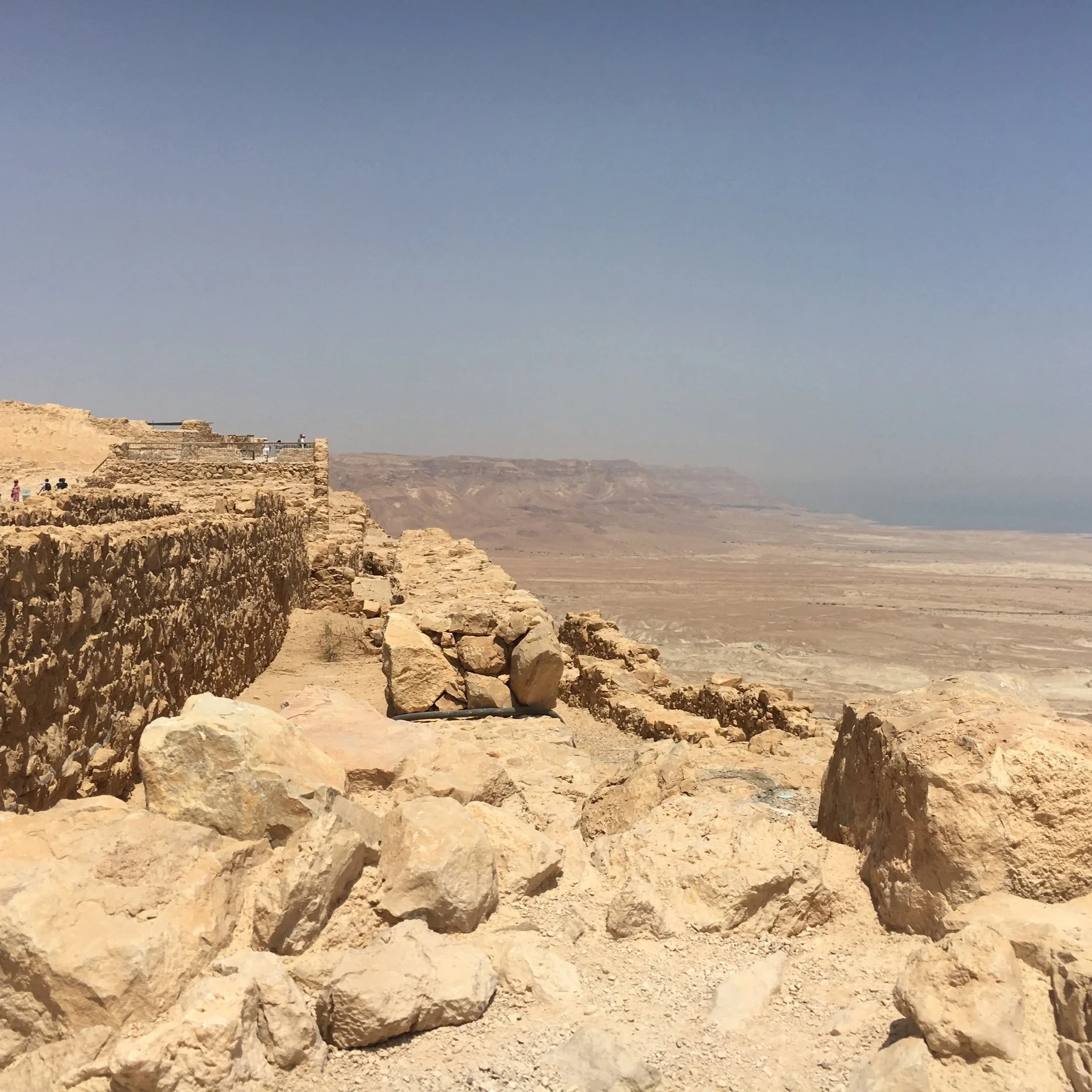 IMG_2844.jpeg