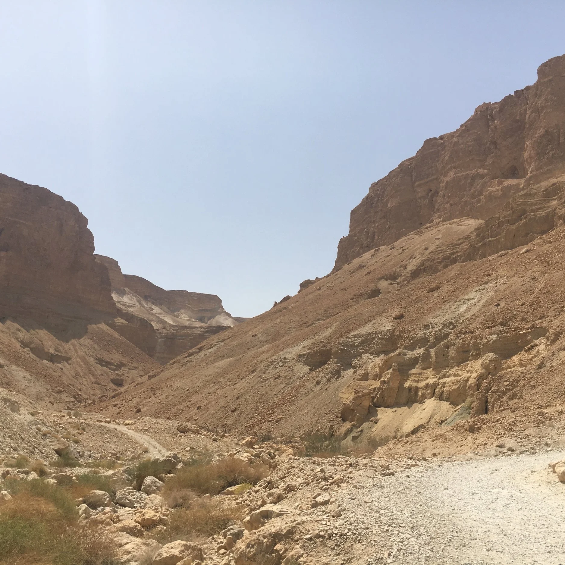 IMG_2874.jpeg